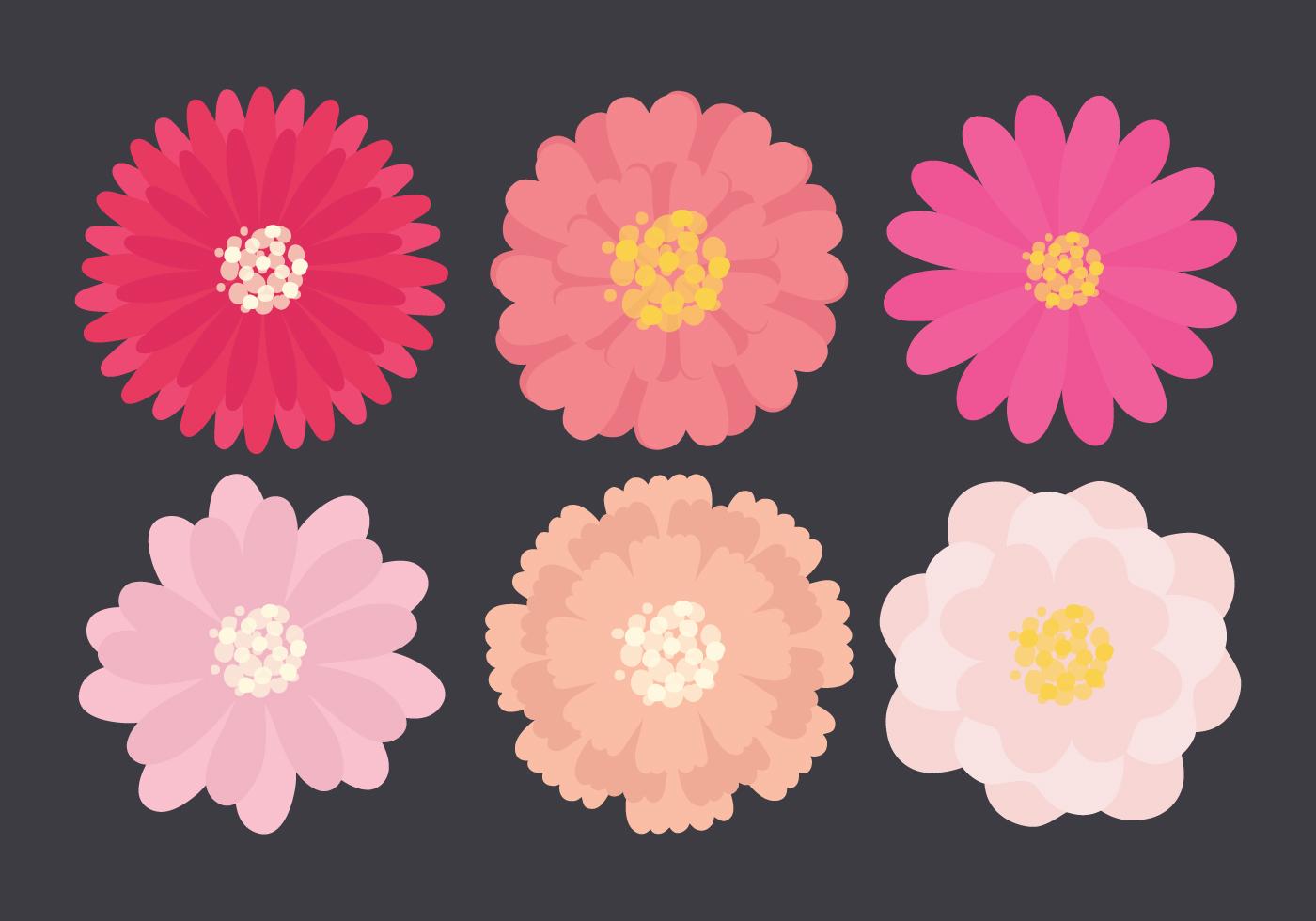 Vector Flower Collection Stock Free and Free SVG