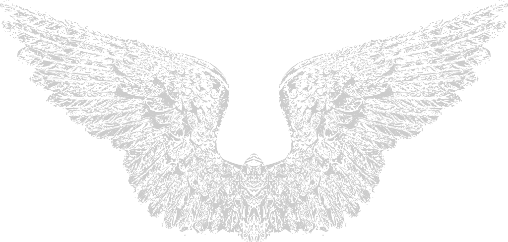 Wing Free Vector and Free SVG