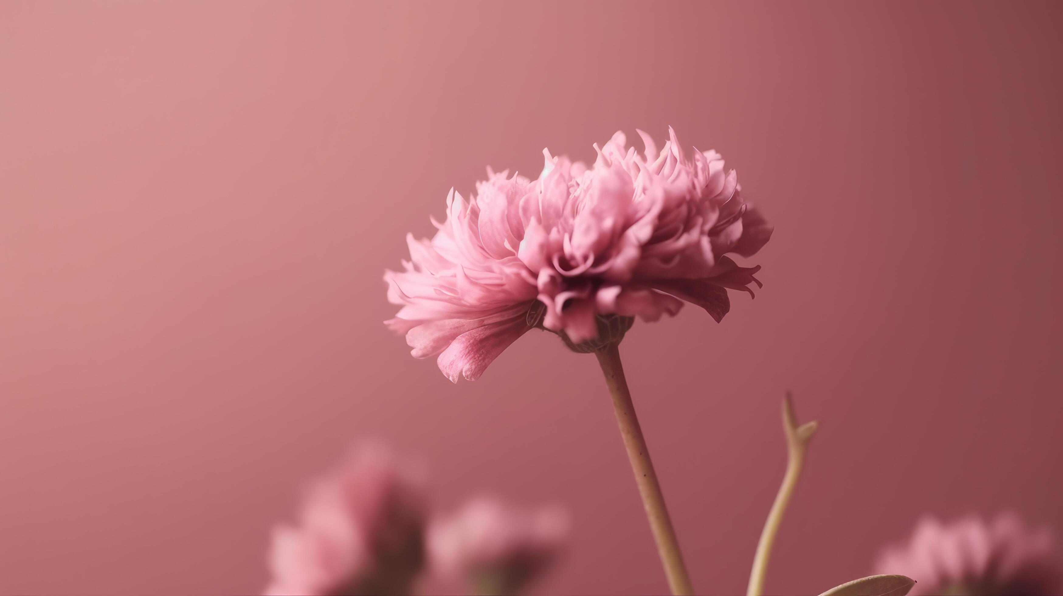 Pink natural flower background. Illustration Stock Free