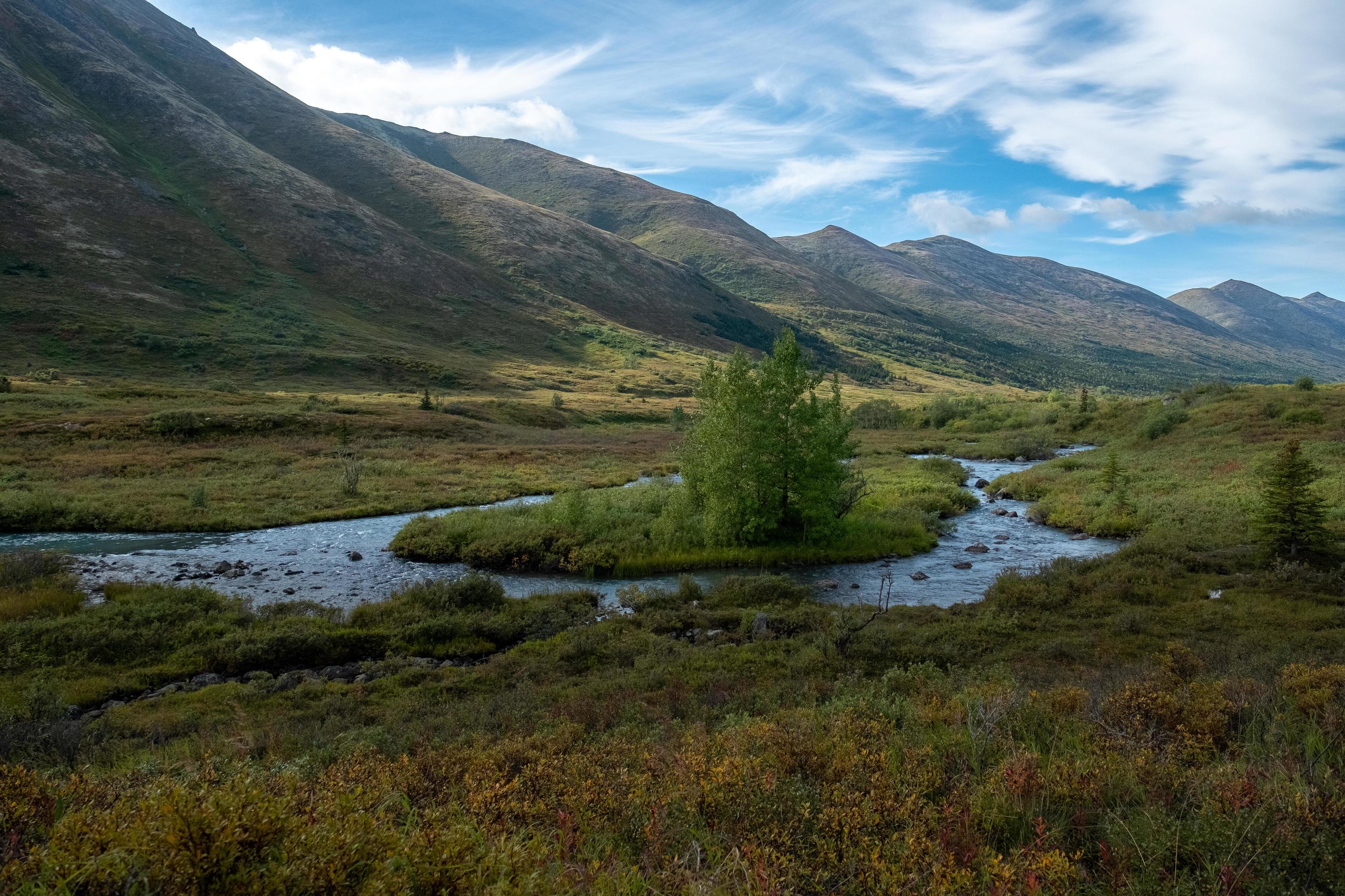 Stream near mountains Stock Free