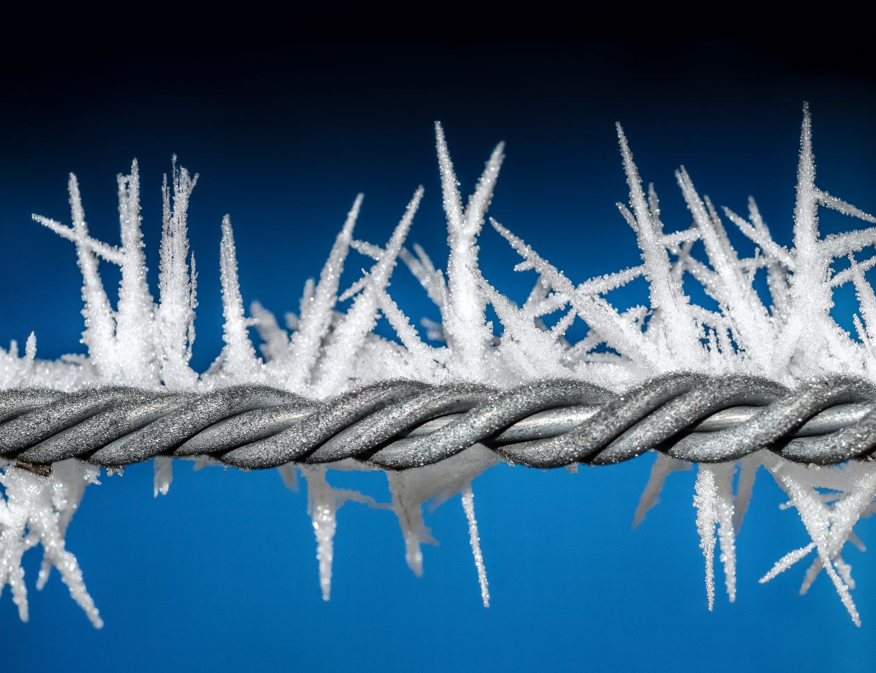 Iced wire Stock Free