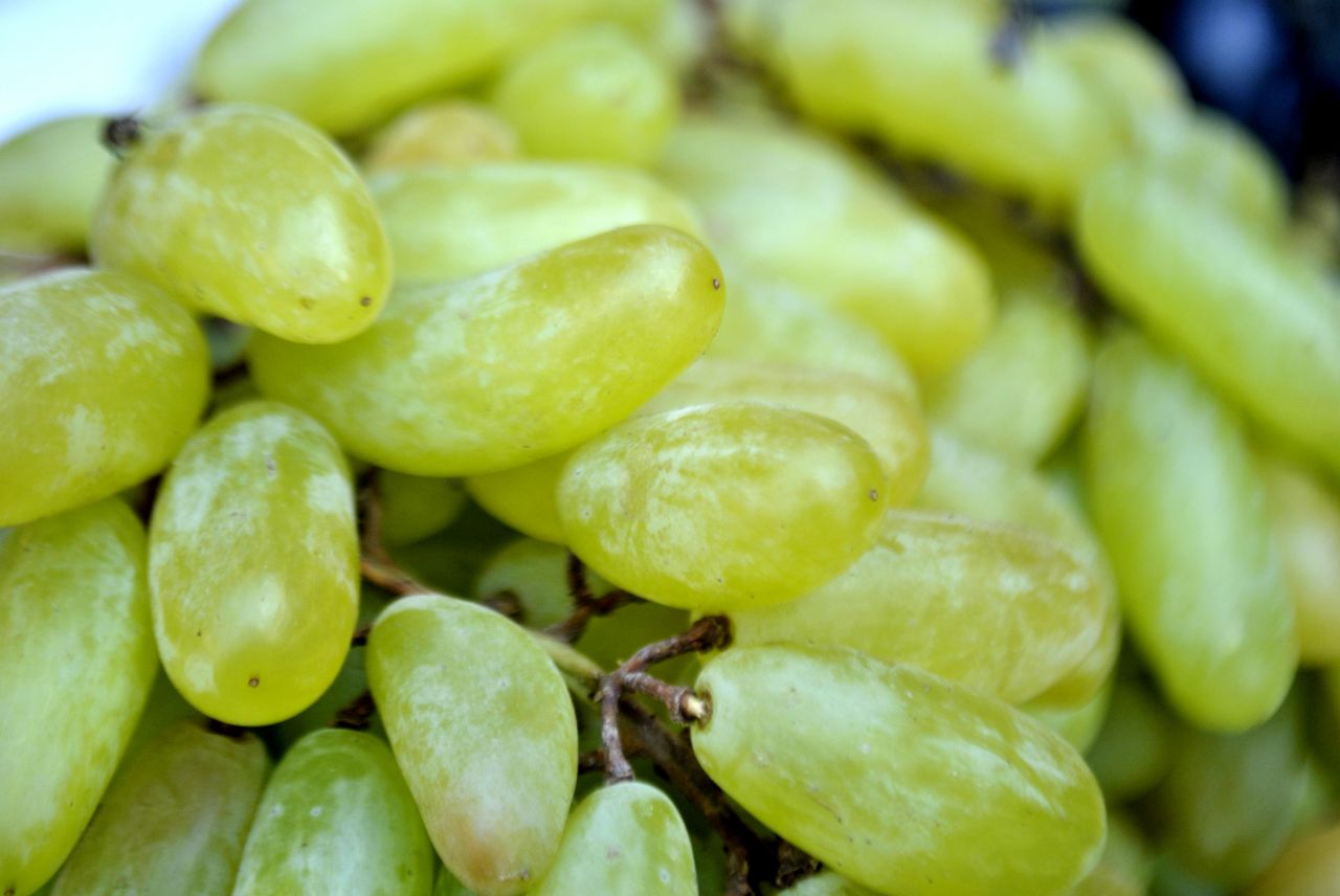 Grapes Stock Free