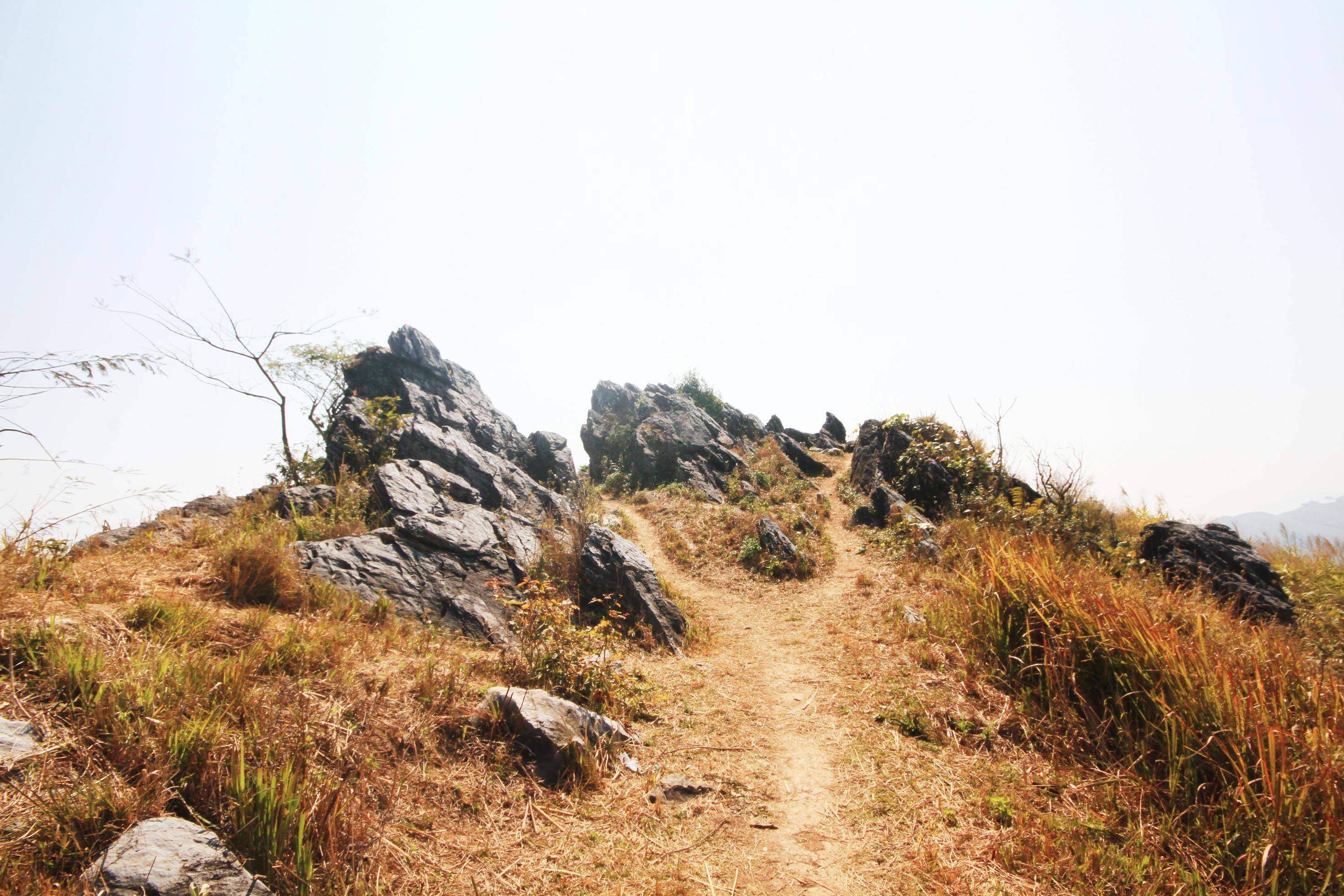 Landscape of The rocky and dry grassland on the valley mountain at Doi Pha Tang hill in Thailand Stock Free