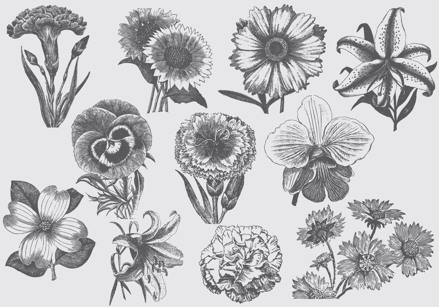 Vintage Flowers Stock Free and Free SVG