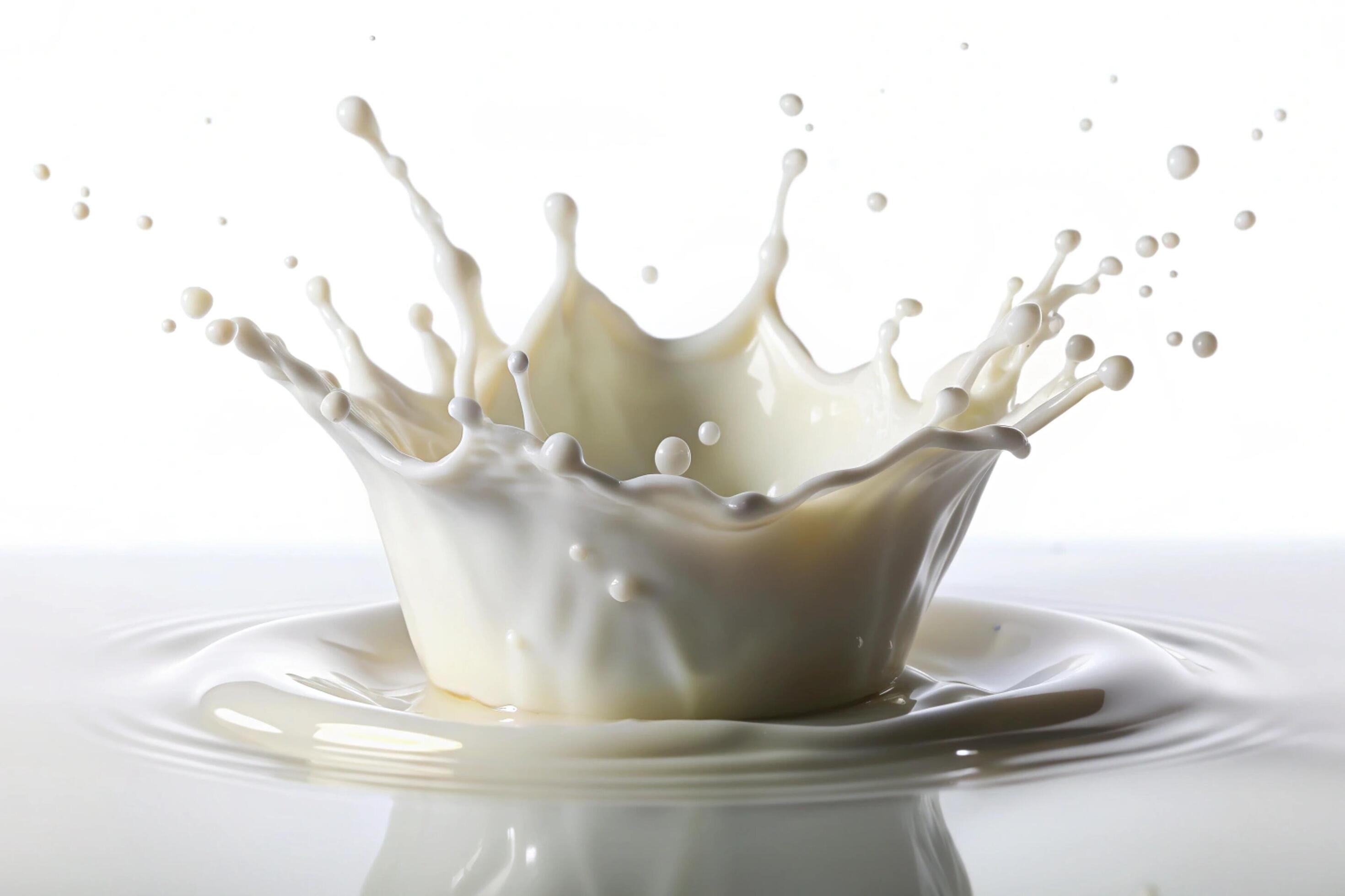 Milk splashes on white background Stock Free