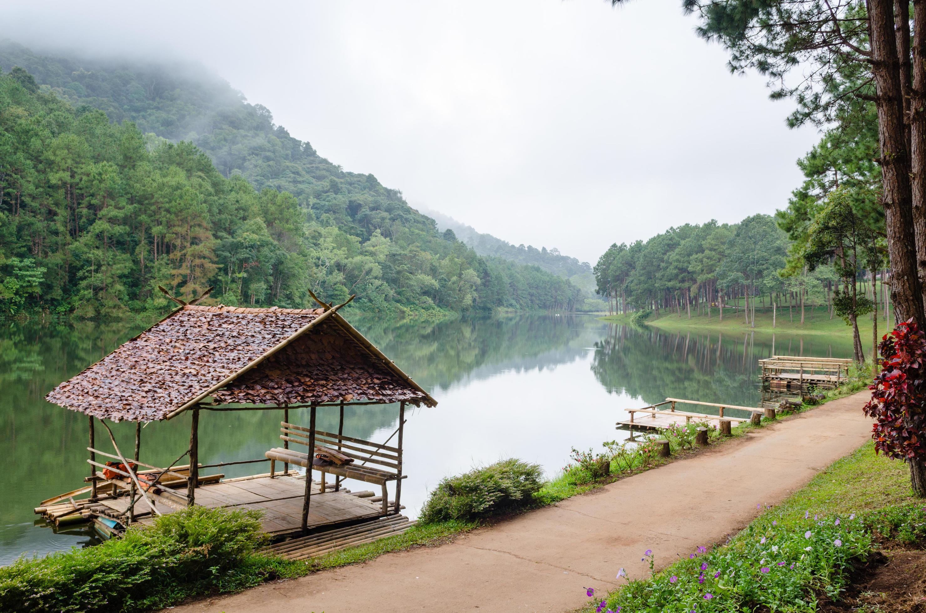 Pang Ung, Beautiful forest lake in the morning Stock Free