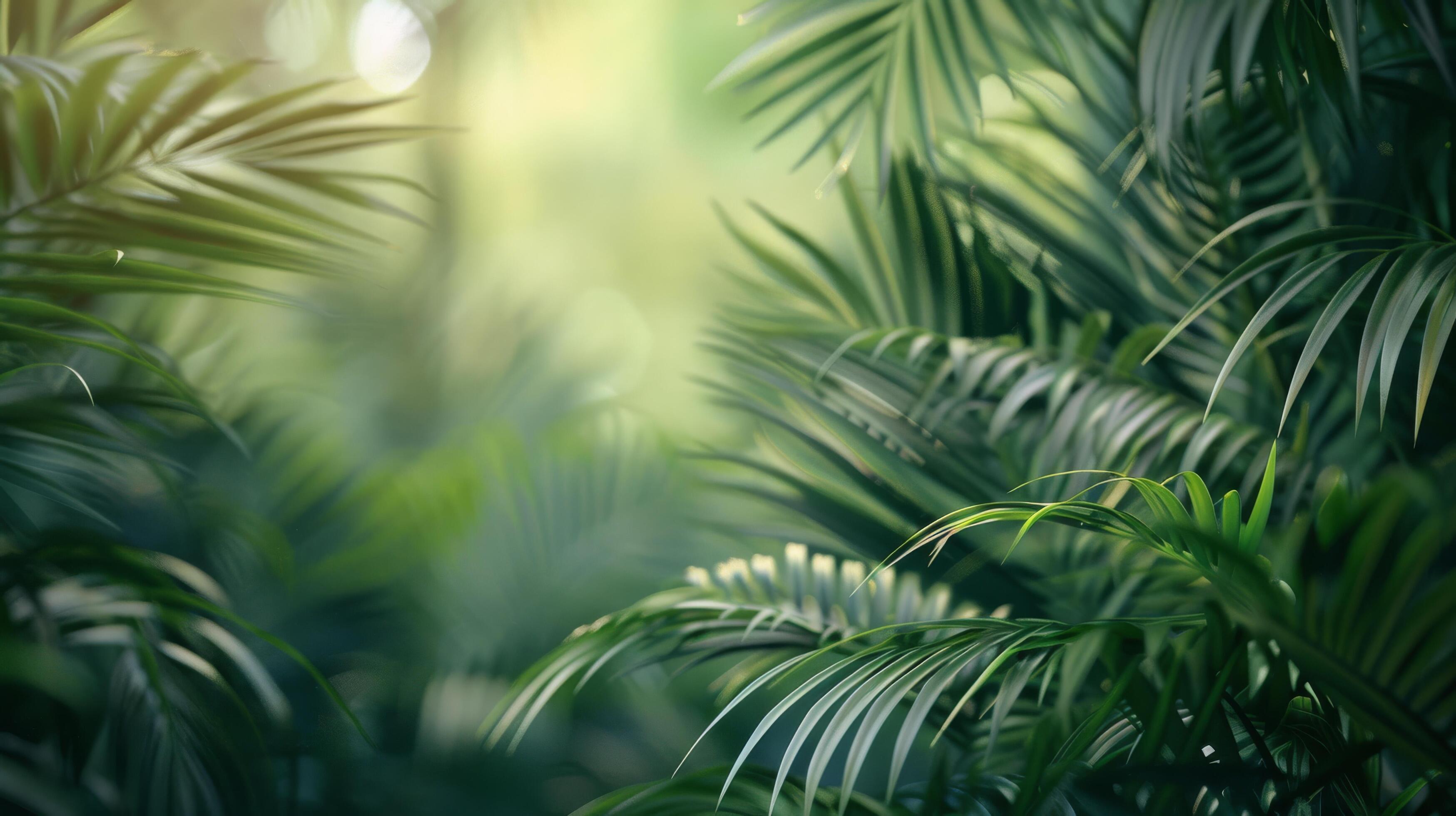 Tropical Green Leaves Background Stock Free