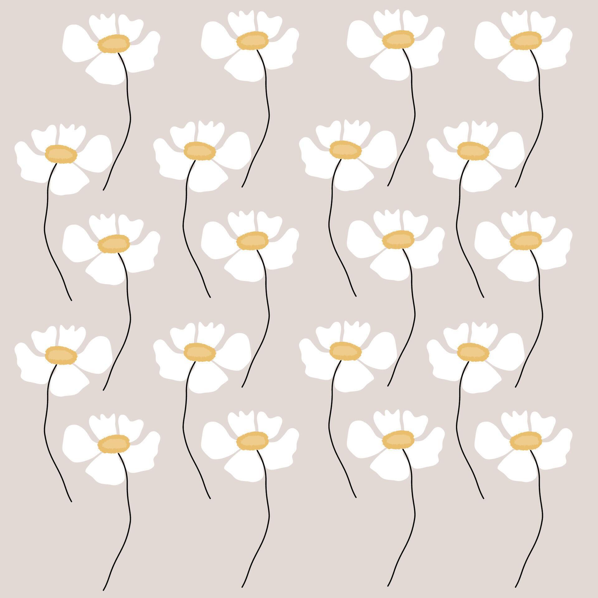 Simple white flowers with five petals on boho cream colors background Stock Free