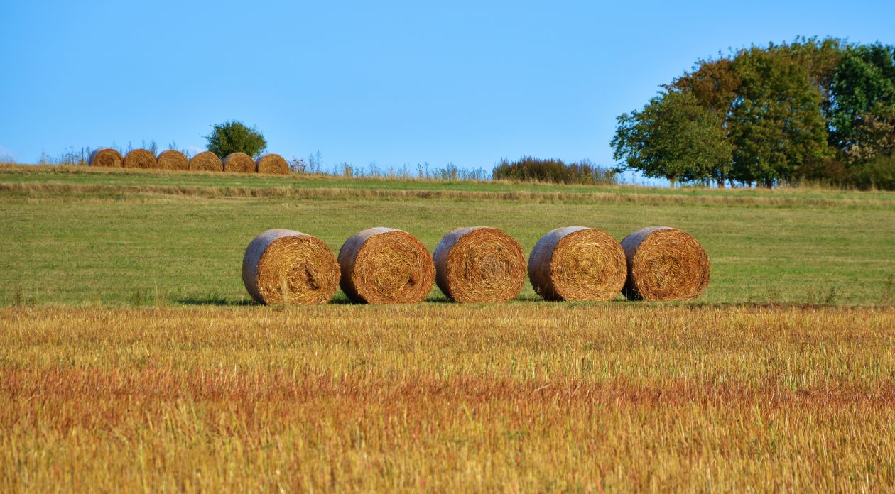 Agriculture Stock Free