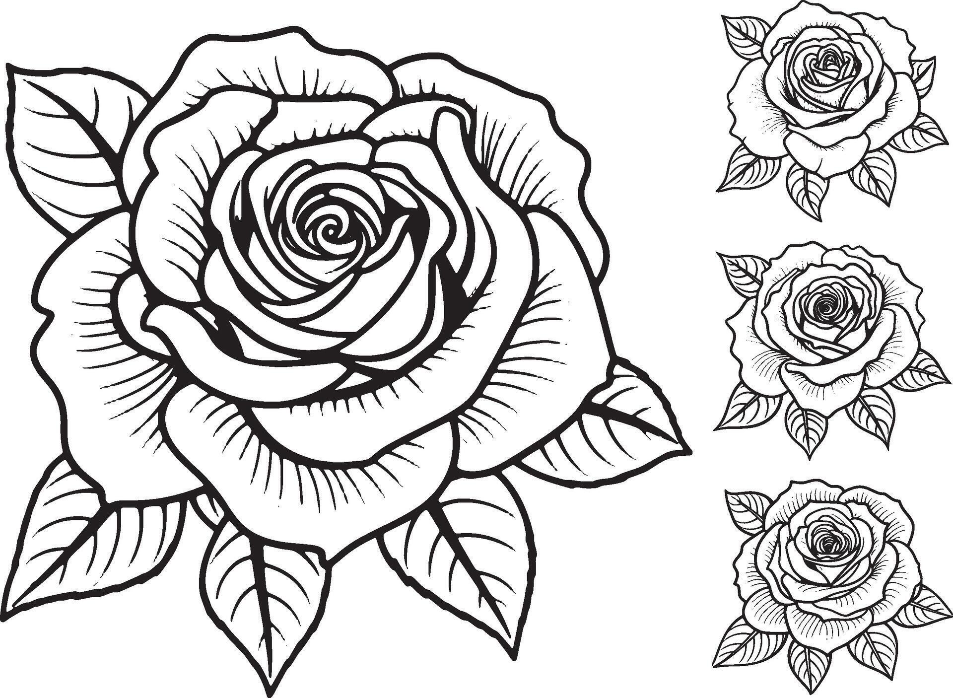 Rose Flower Line Art Logo Template Clipart Stock Free