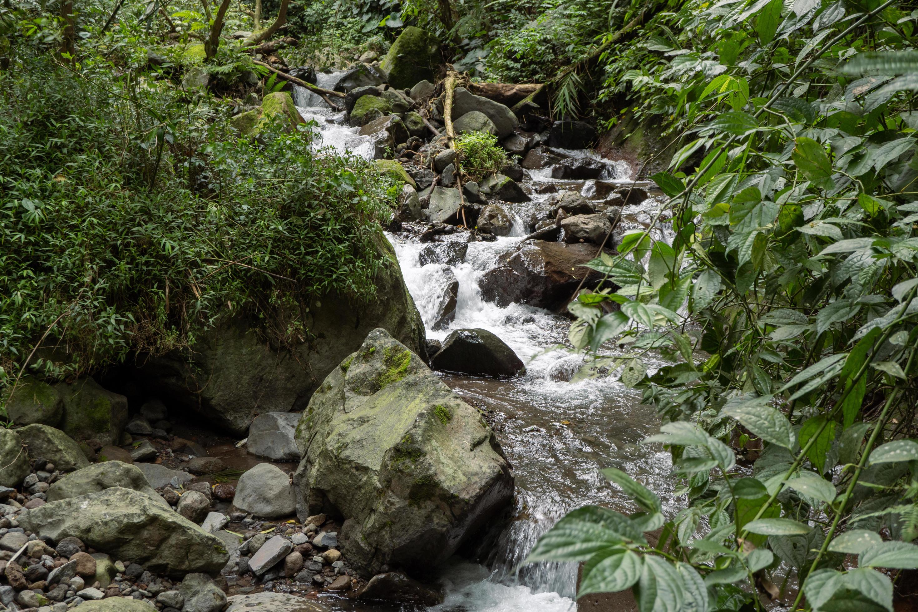 Scenery of single water fall on the tropical forest. The photo is suitable to use for adventure content media, nature poster and forest background. Stock Free