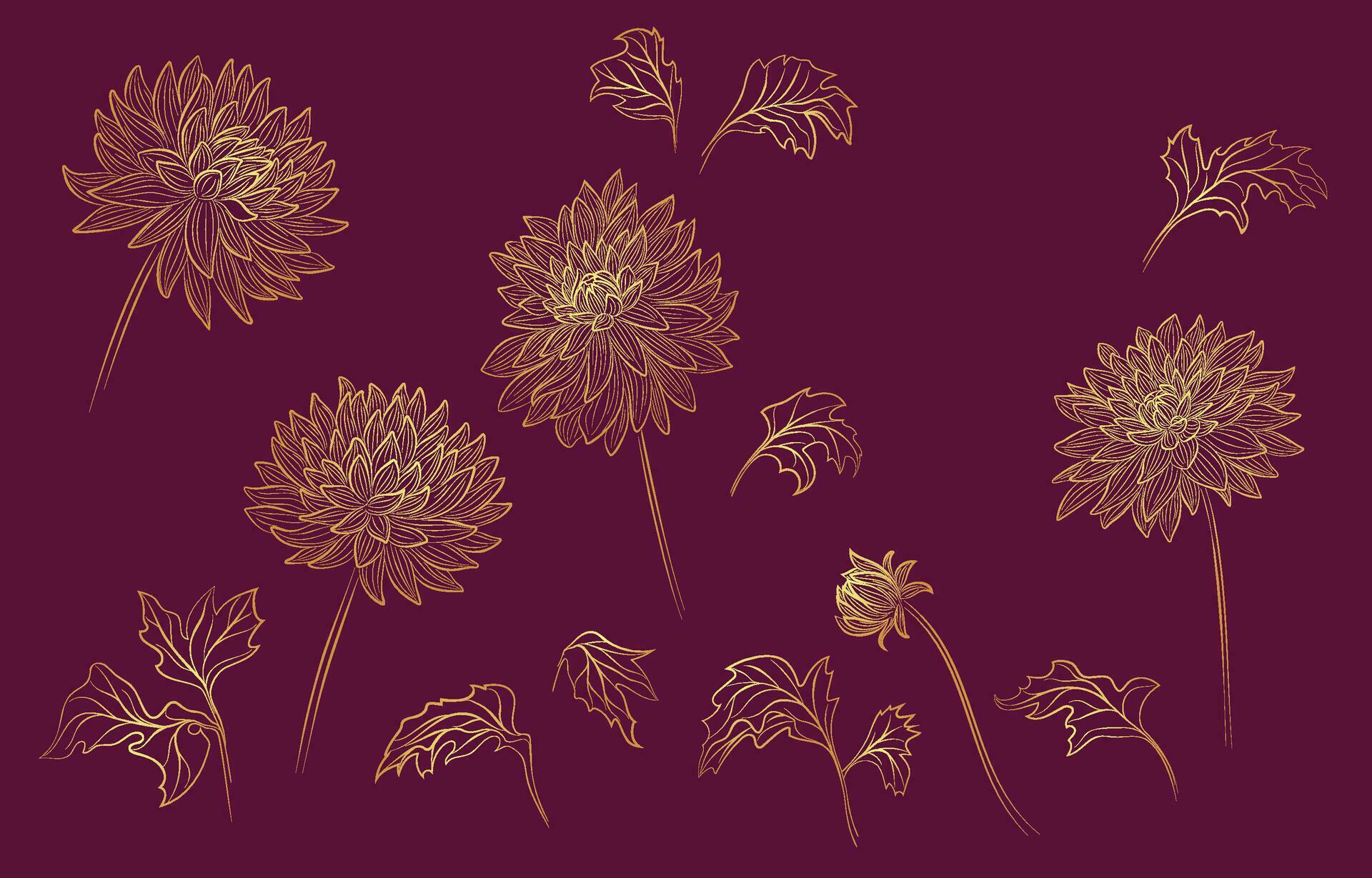 Vector gold linear flower collection Stock Free and Free SVG