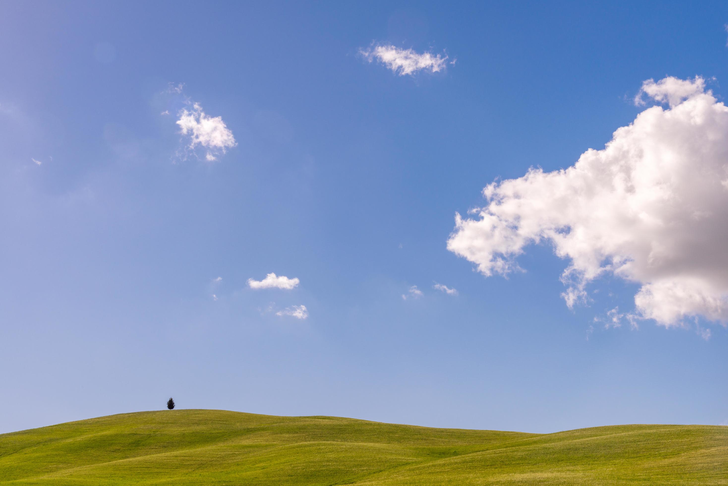 Lone tree on the horizon in Val d’Orcia Tuscany Stock Free