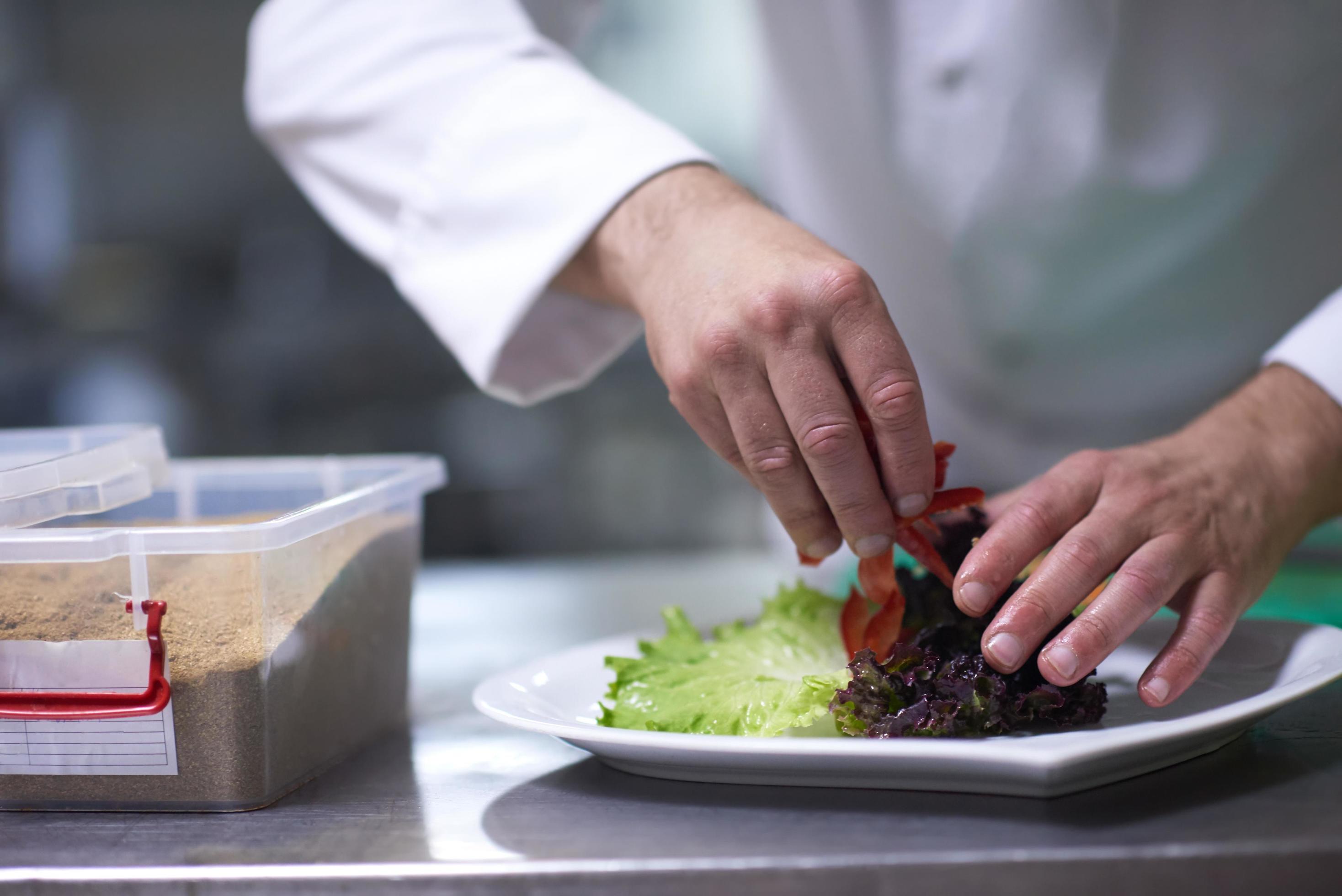 chef in hotel kitchen preparing and decorating food Stock Free