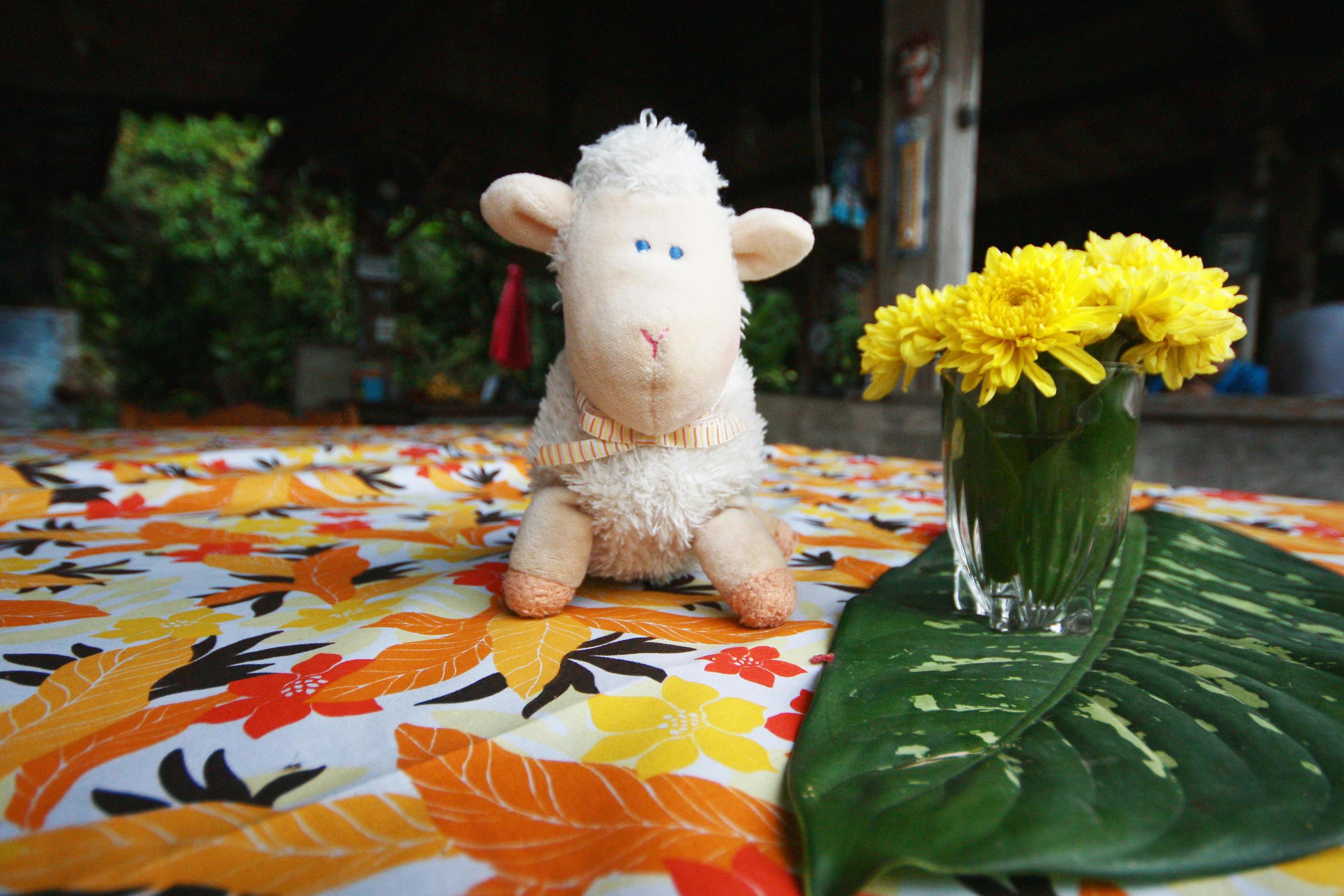 Happy sheep doll with yellow flowers and beautiful fern leave decoration on colorful Tablecloth and table in coffee shop Stock Free