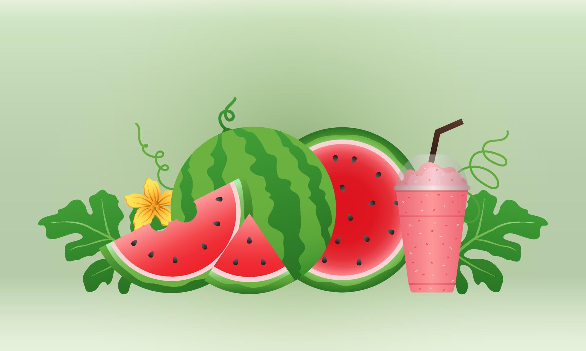 Watermelon and juicy slices banner, flat design of green leaves and watermelon flower illustration, Fresh and juicy fruit concept of summer food. Stock Free