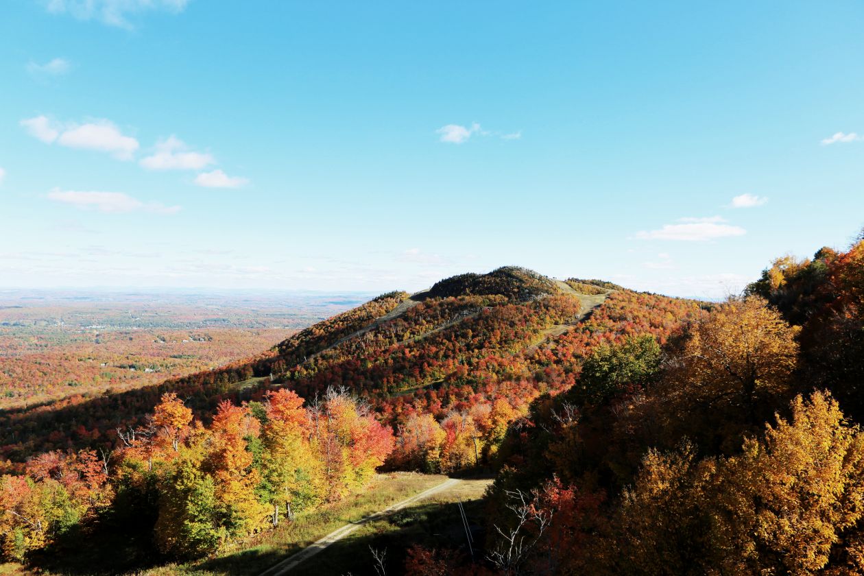 Fall Landscape Stock Free