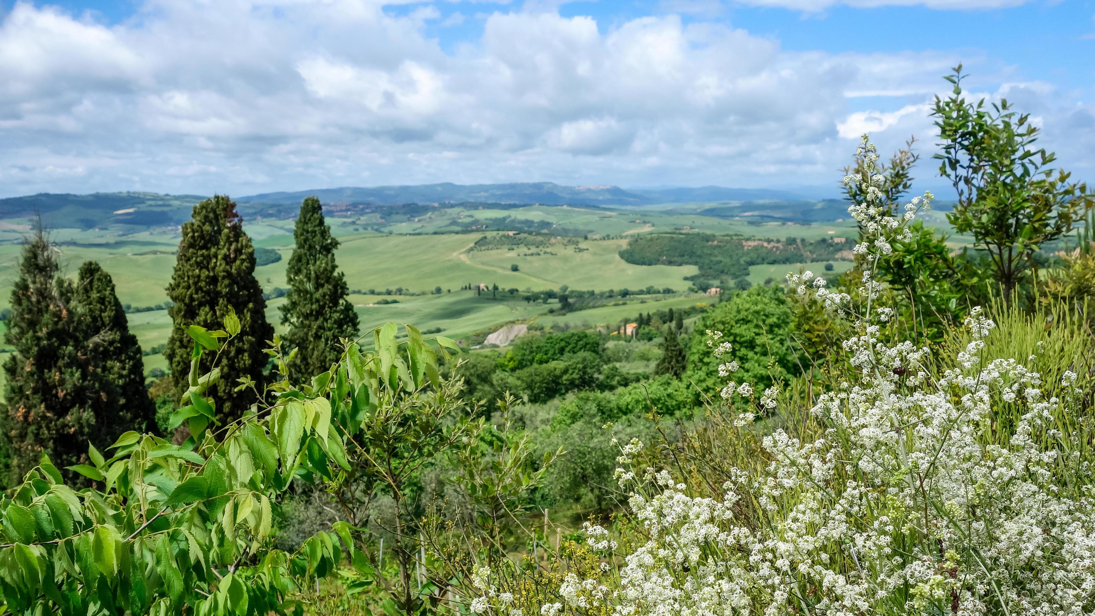 Countryside of Val d’Orcia Tuscany Stock Free