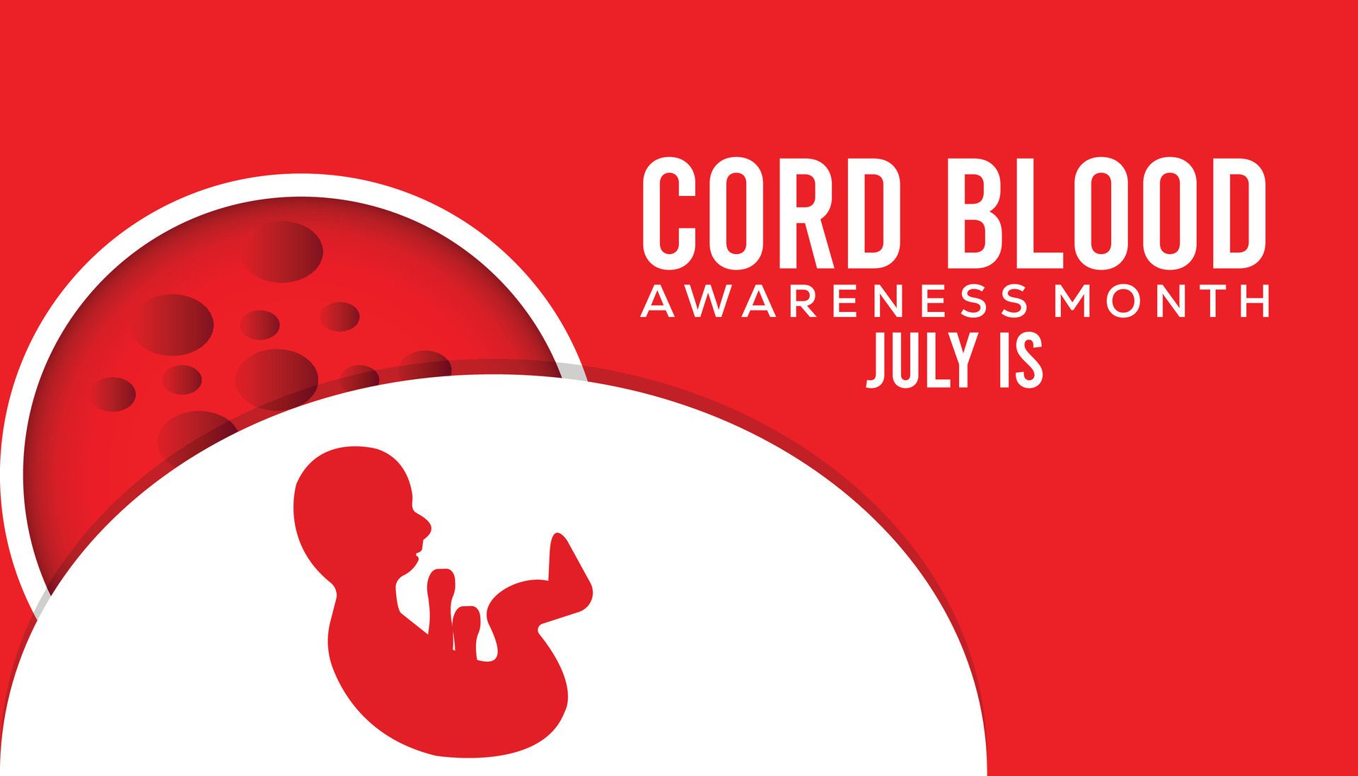 cord blood awareness month observed every year in July. Template for background, banner, card, poster with text inscription. Free Vector