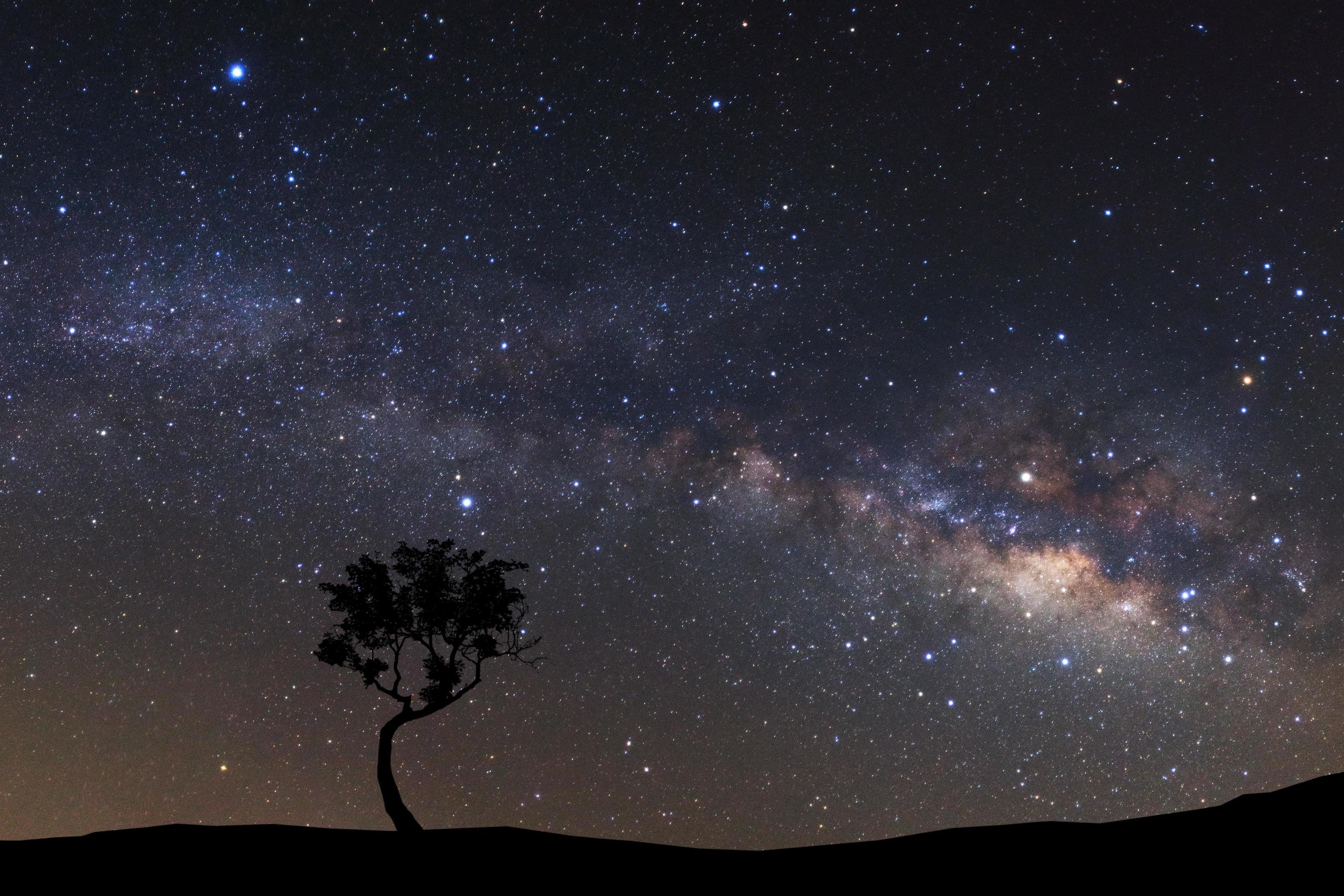 Landscape silhouette of tree with milky way galaxy and space dust in the universe, Night starry sky with stars Stock Free