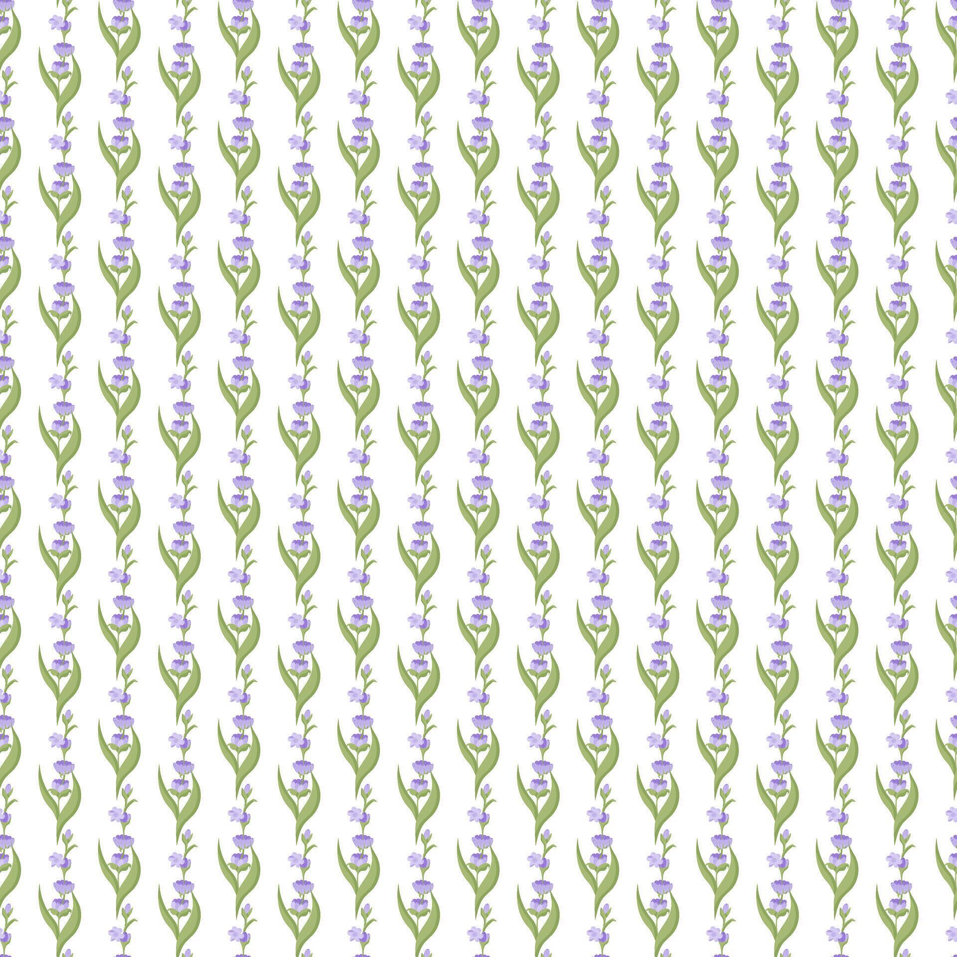 A sprig of lavender. Purple flower. Seamless pattern. illustration. Stock Free