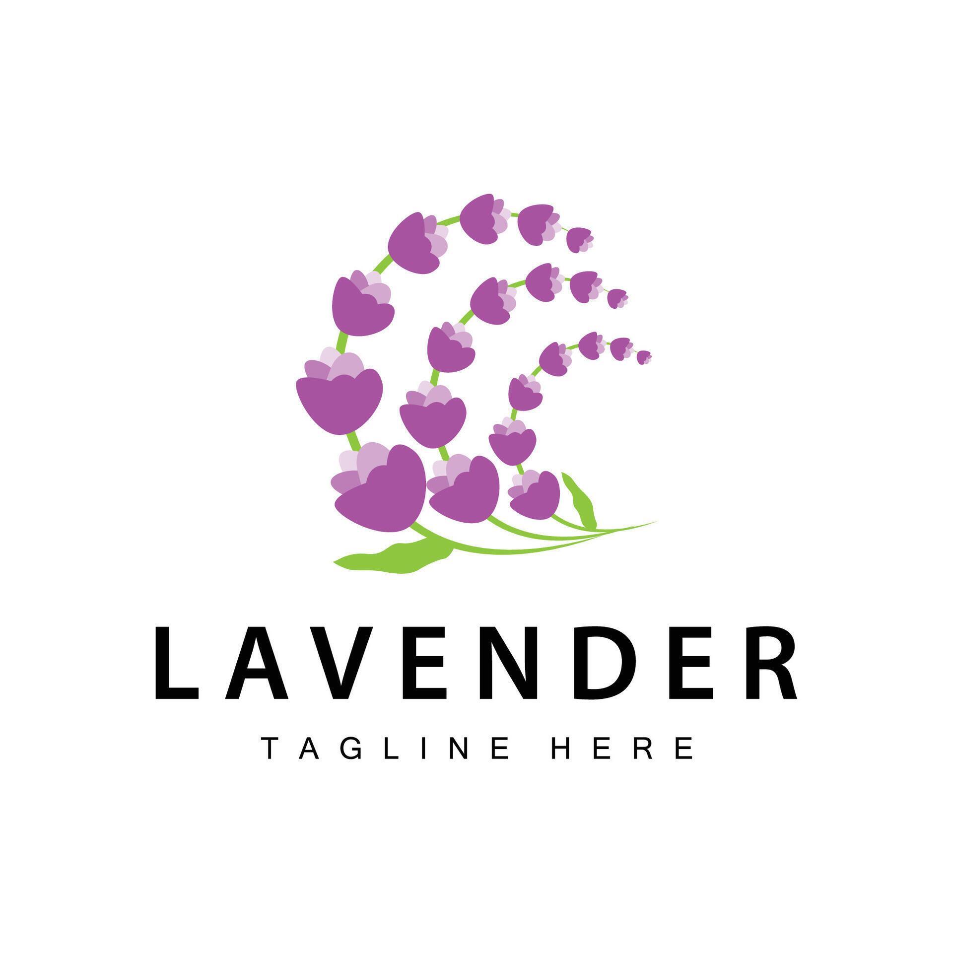 Lavender logo simple design vector cosmetic plant purple color and aromatherapy lavender flower garden template Stock Free