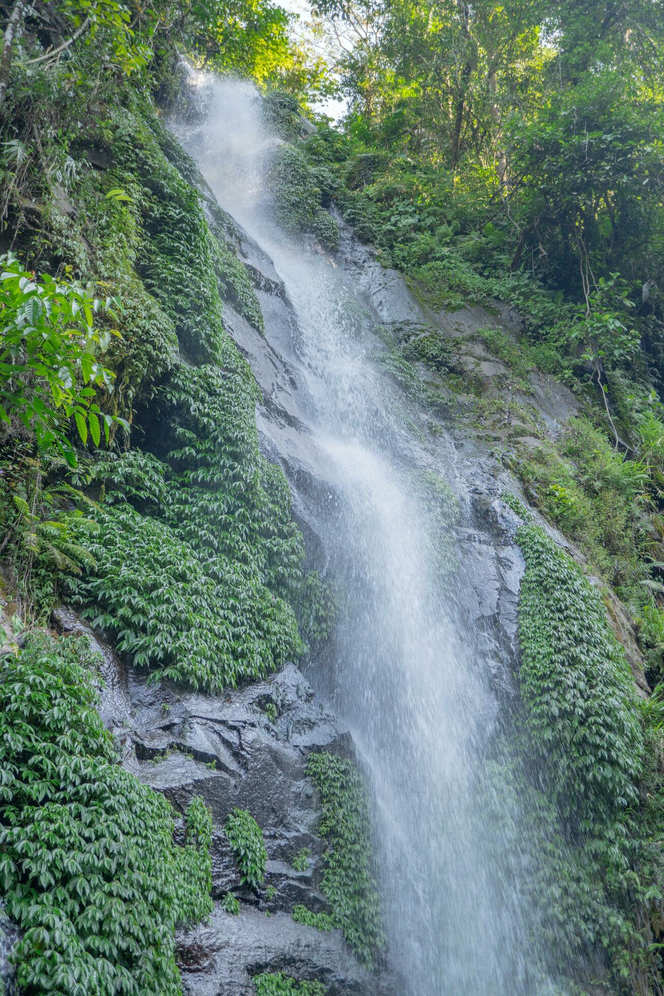 Small water fall on the tropical forest when rain season. The photo is suitable to use for adventure content media, nature poster and forest background. Stock Free