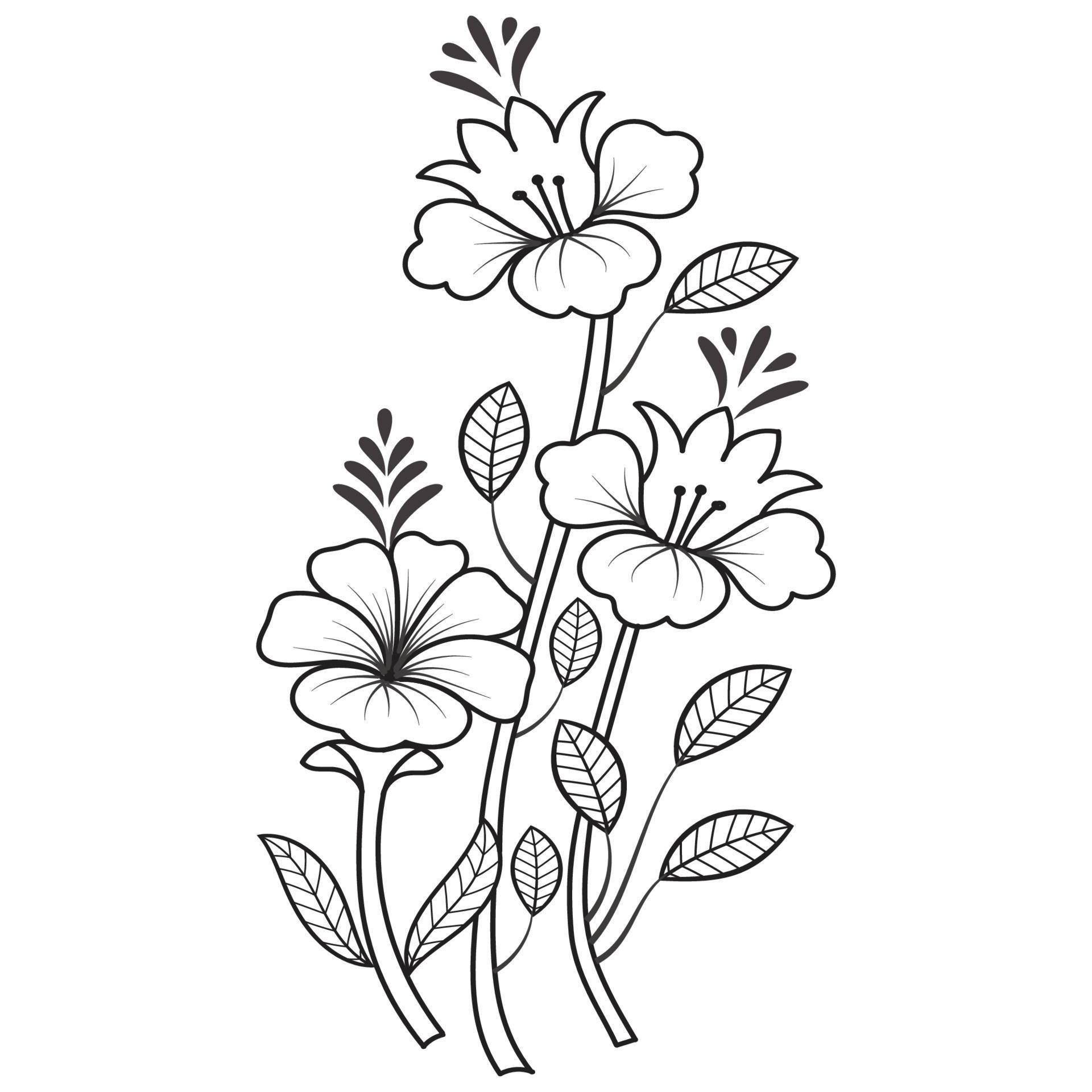 Set of differents flower line on white background. Flowers drawing with line-art on white backgrounds. Stock Free