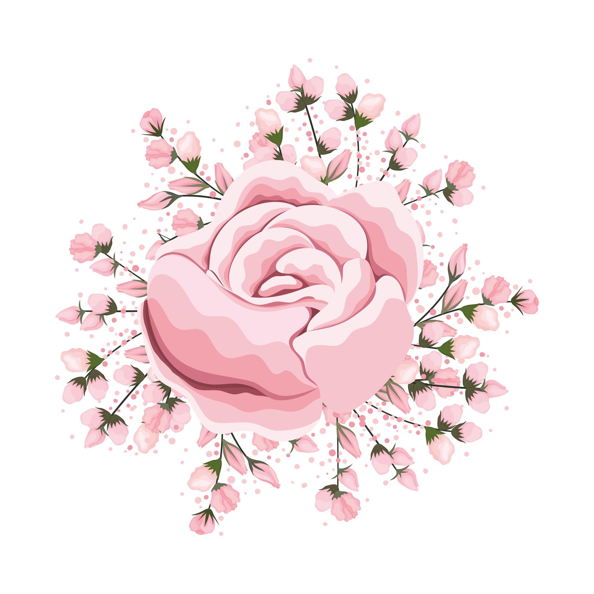 Buds around pink rose flower painting Stock Free