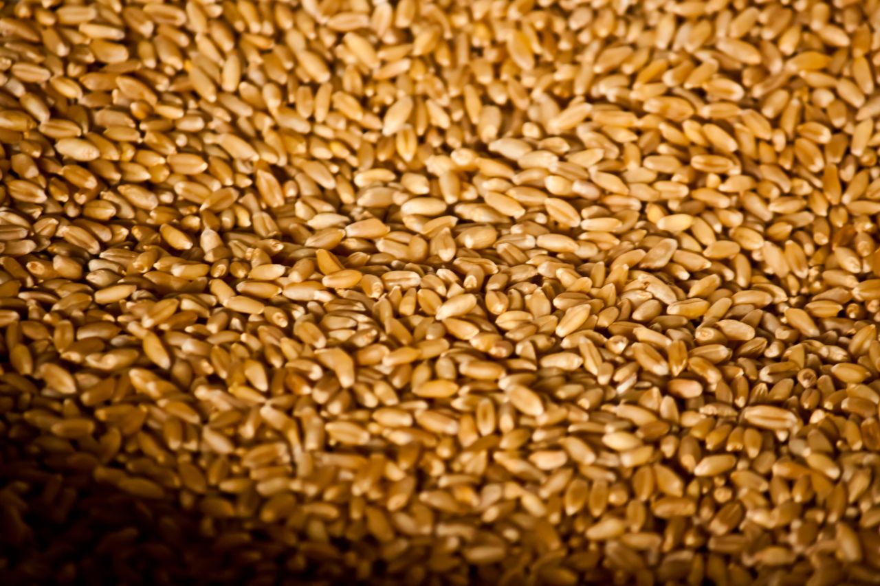 Wheat Grains Storage Stock Free