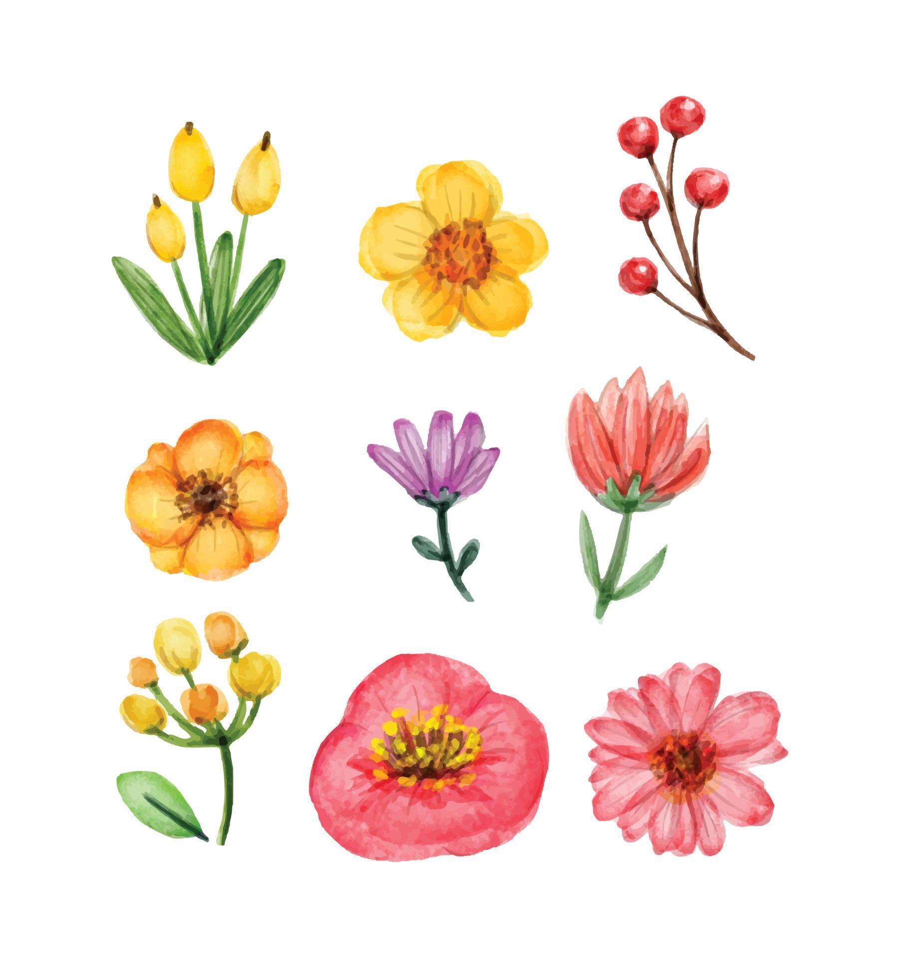 Beautiful watercolor flower set Stock Free