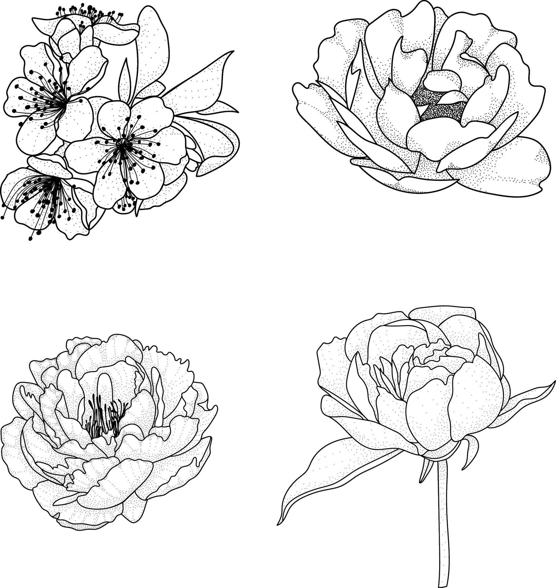 set of beautiful flowers vector Stock Free