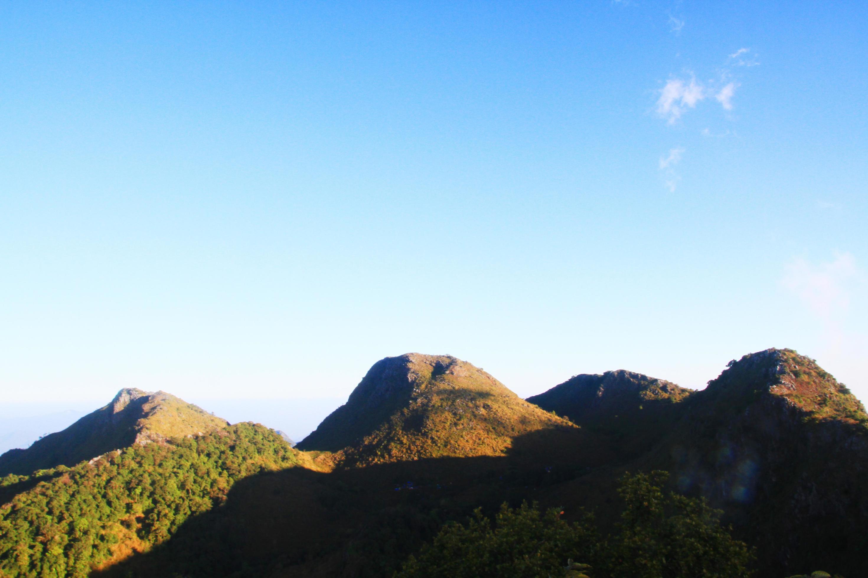 Beautiful grass flowers Landscape of rocky Limestone Mountain and green forest with blu sky at Chiang doa national park in Chiangmai, Thailand Stock Free