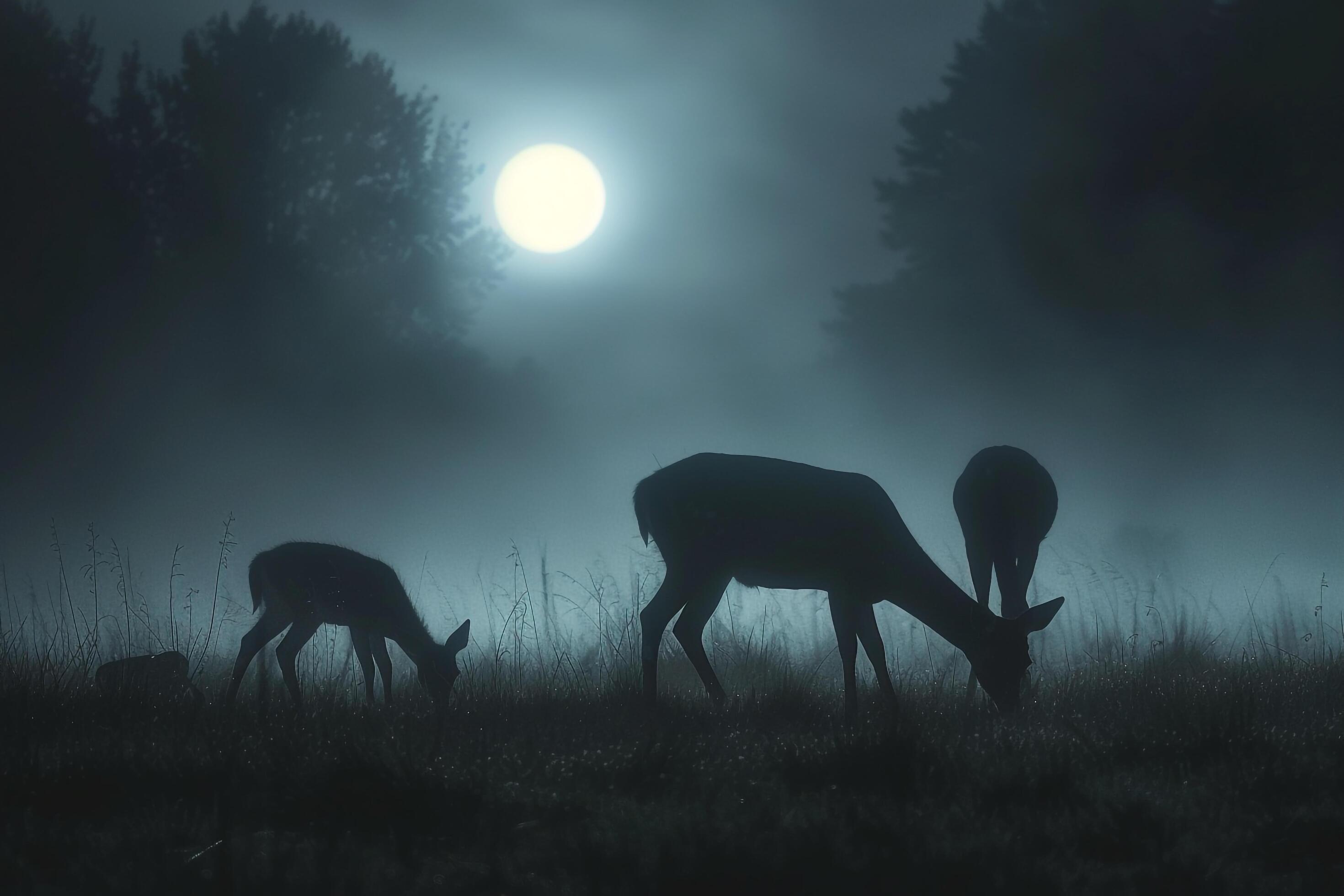 Moonlight Filtering Through Mist Casting Silver Glow on Family of Deer Grazing in Meadow Background in Nature Stock Free