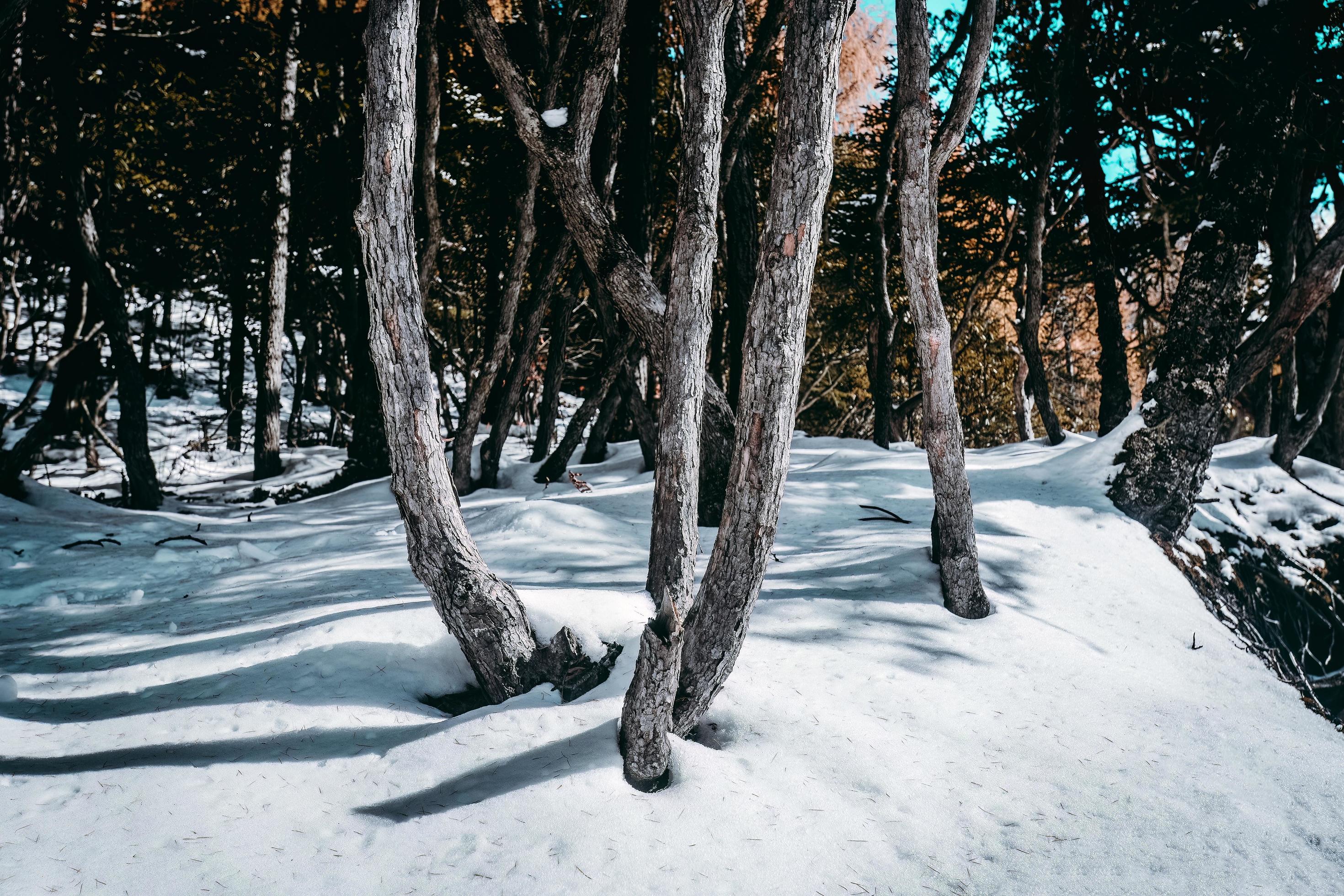 Spectacular scenery in the high mountains of western Sichuan, China, with different seasons Stock Free