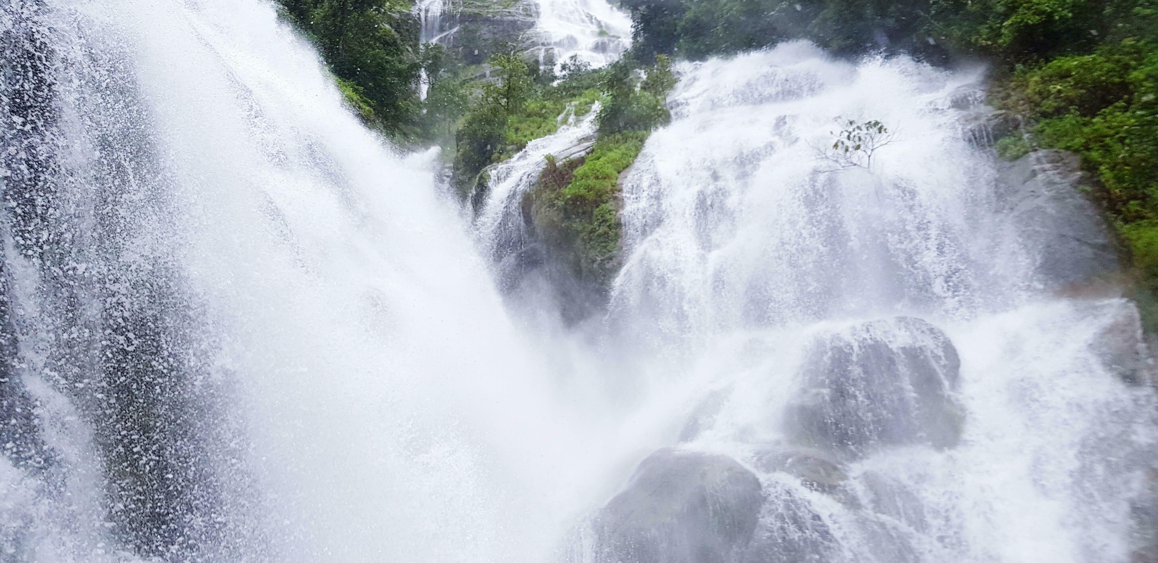 Beautiful waterfall fast flowing, green tree and big rock in deep tropical jungle or forest background. Beauty in nature and Freshness Stock Free