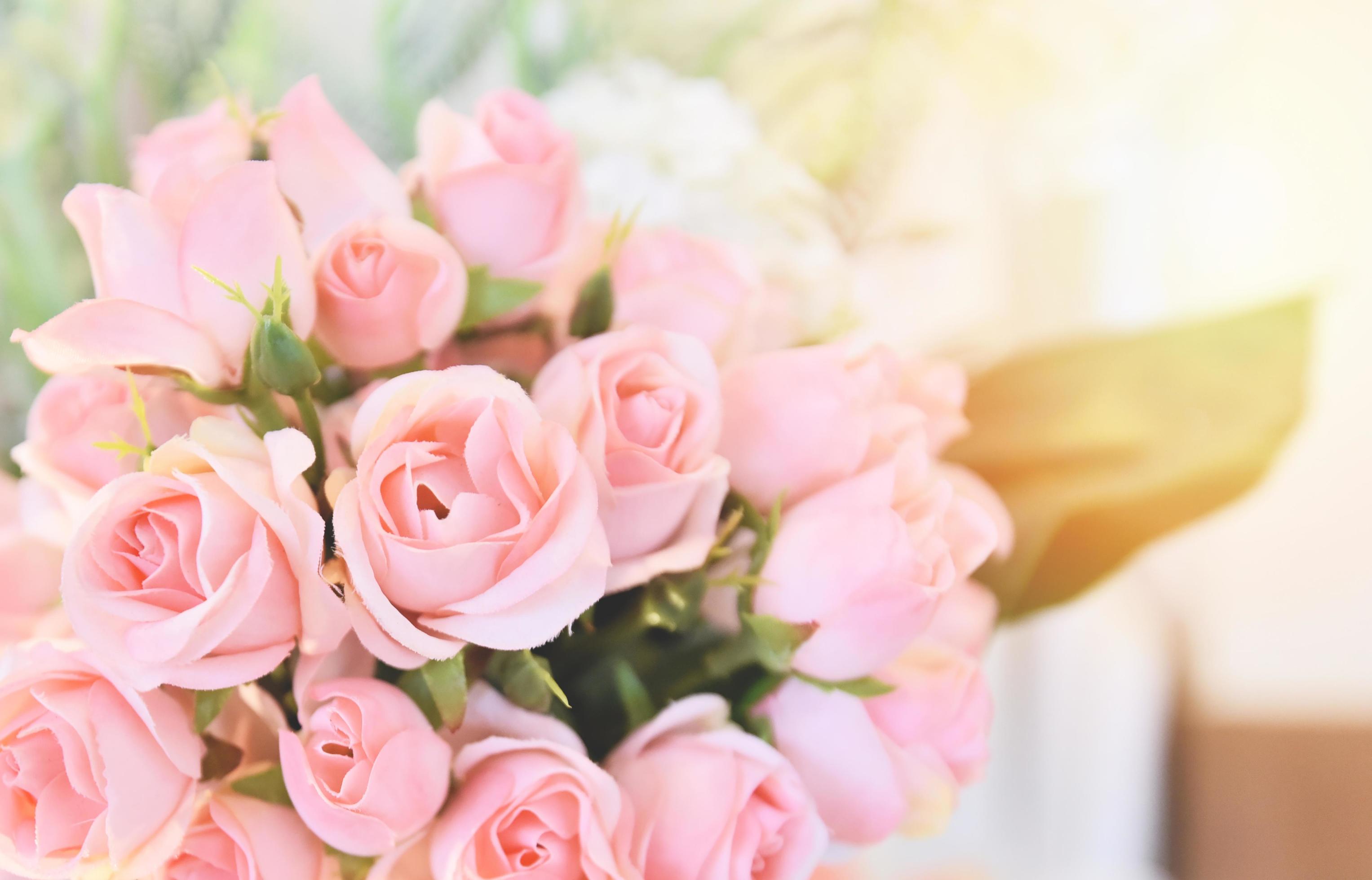 pink rose flower soft and light pink roses blooming spring bouquet on table blur background Stock Free