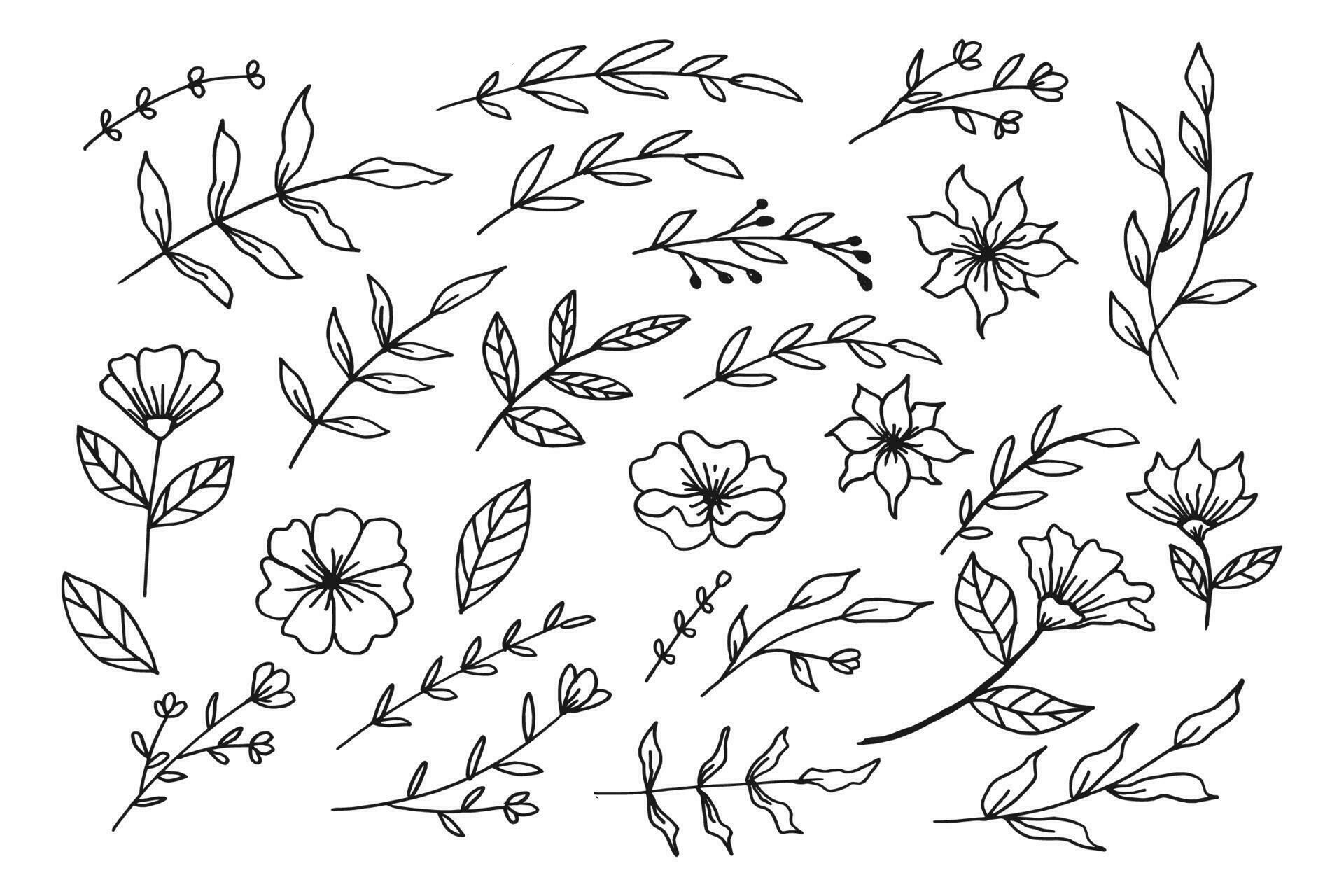 A collection of hand drawn leaves and flower decorative floral element Stock Free and Free SVG