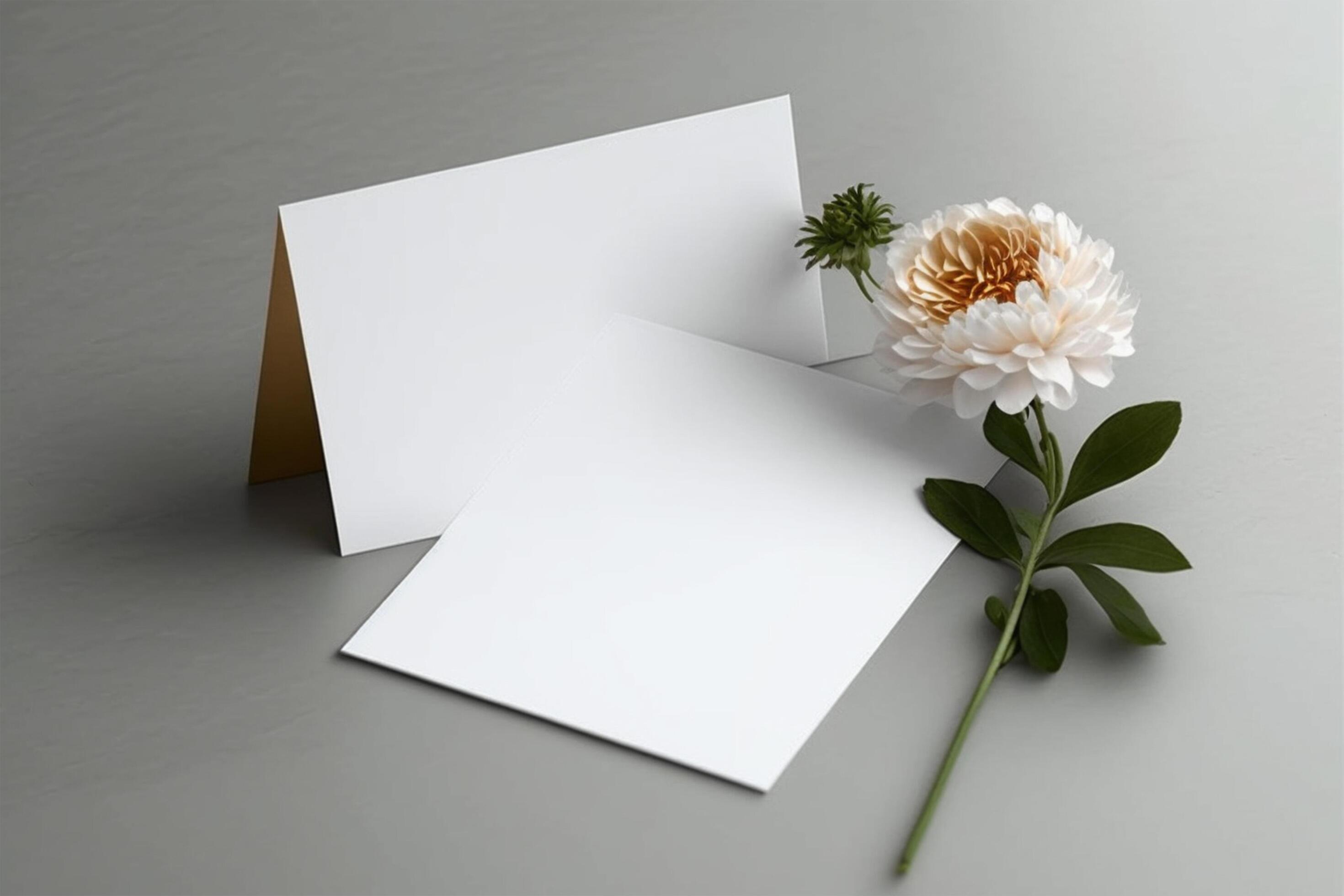 white chamomile flowers and envelope on a grey background, Stock Free