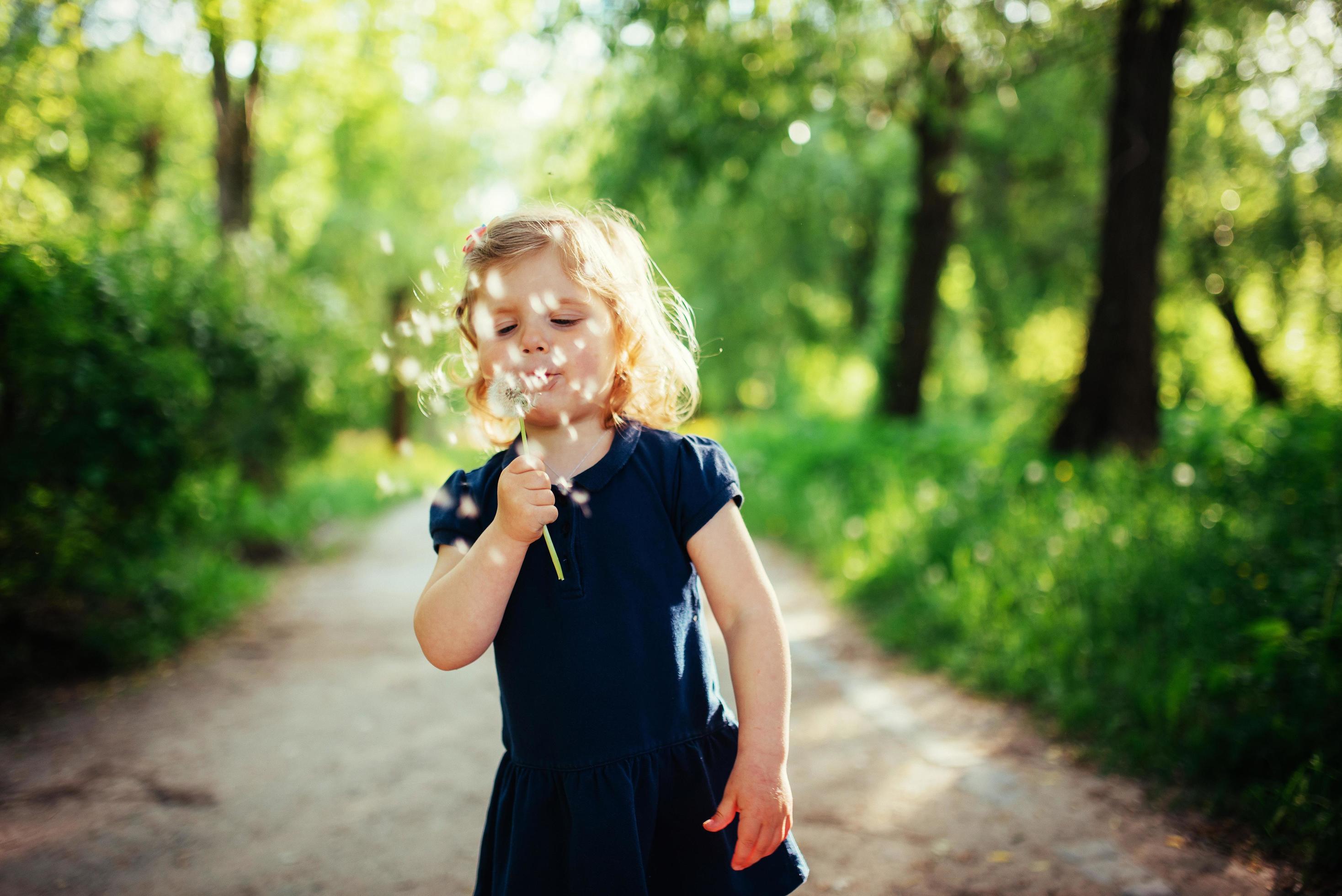 child with dandelion Stock Free