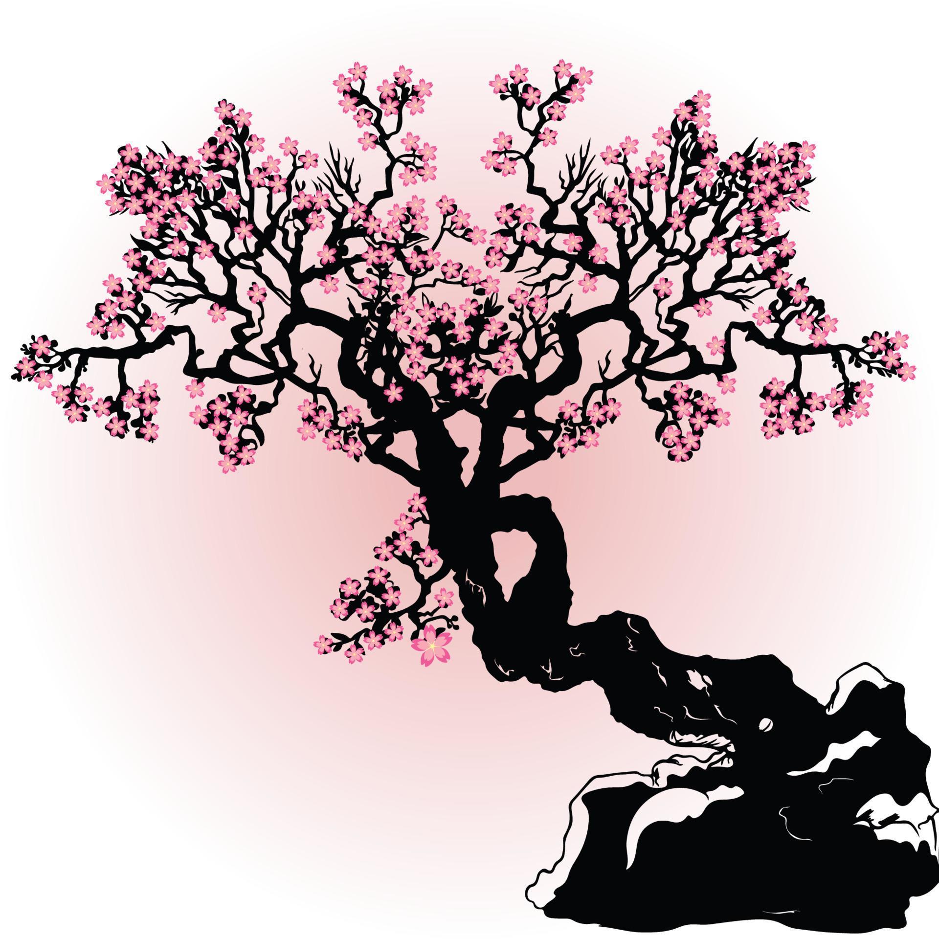 cherry blossom tree with pink flowers Stock Free and Free SVG