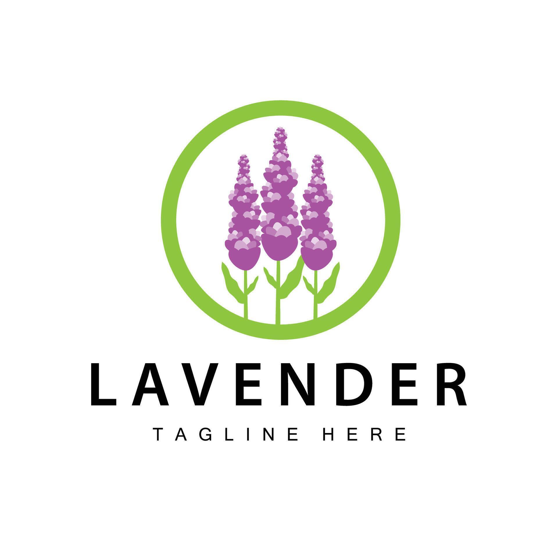 Lavender logo simple design cosmetic plant purple color and aromatherapy lavender flower garden template Stock Free