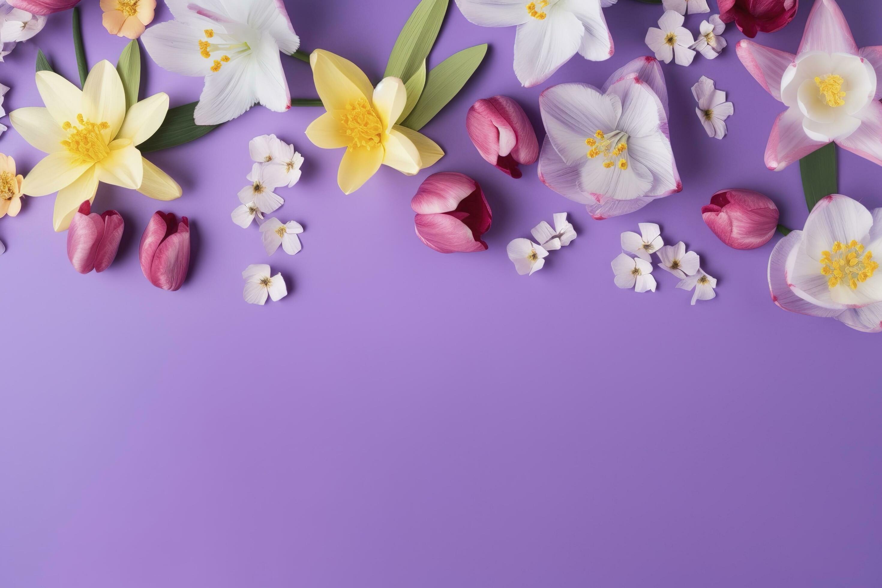 multicolored spring flowers on purple background , generate ai Stock Free