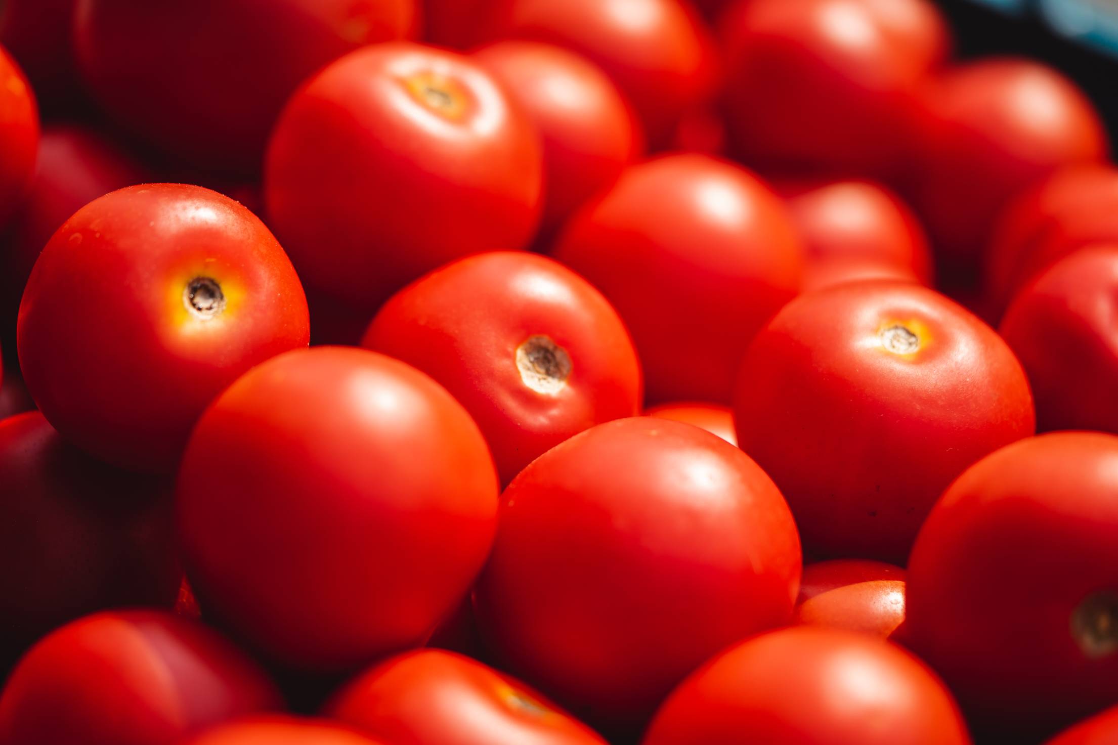 Cherry Tomatoes Pile Free Photo