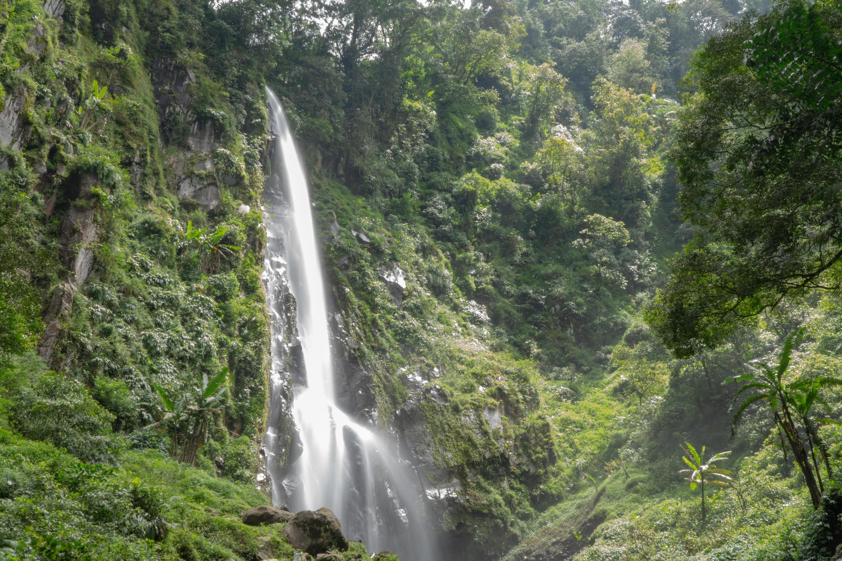 Scenery of single water fall on the tropical forest. The photo is suitable to use for adventure content media, nature poster and forest background. Stock Free