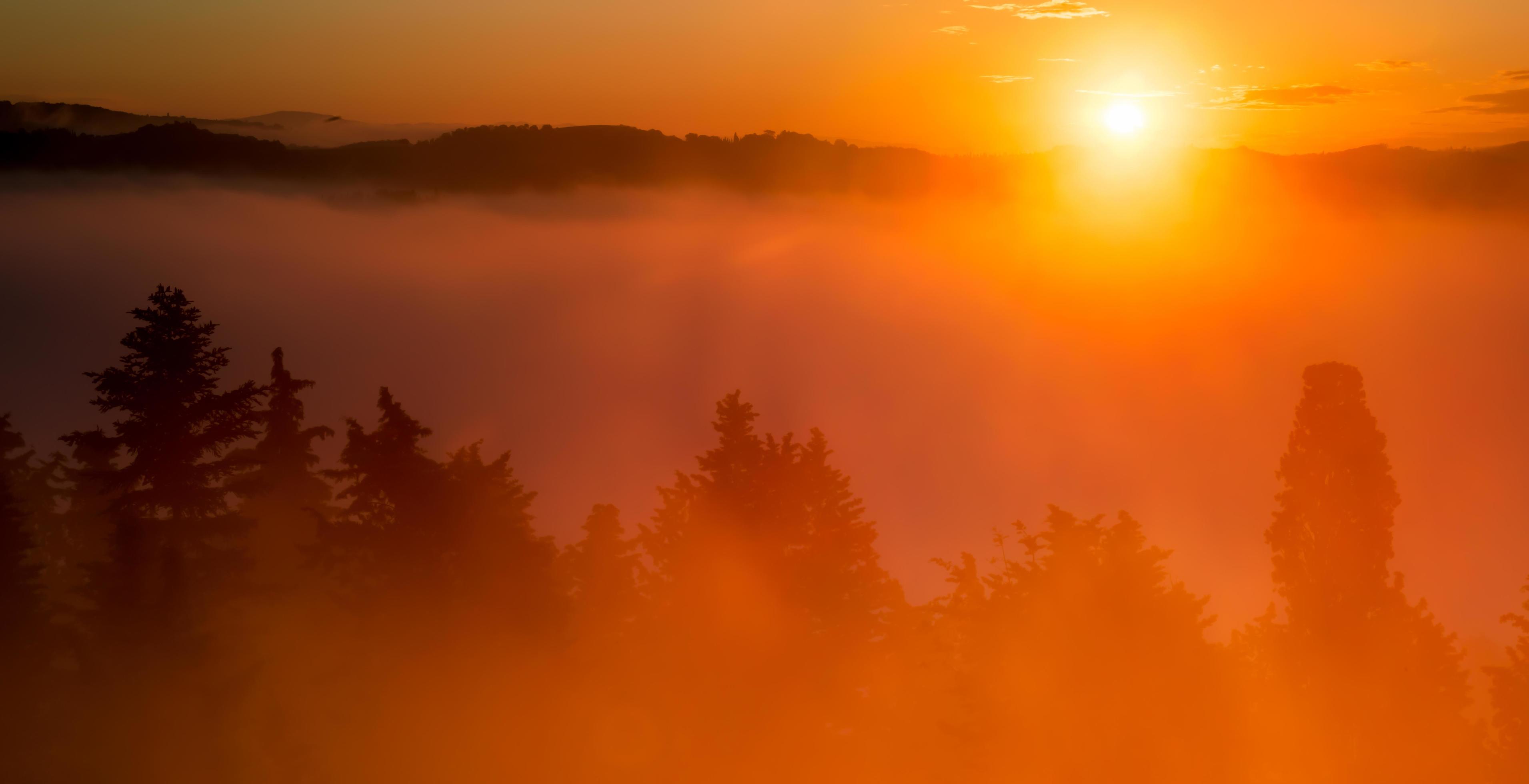 Misty Sunrise in Tuscany Stock Free