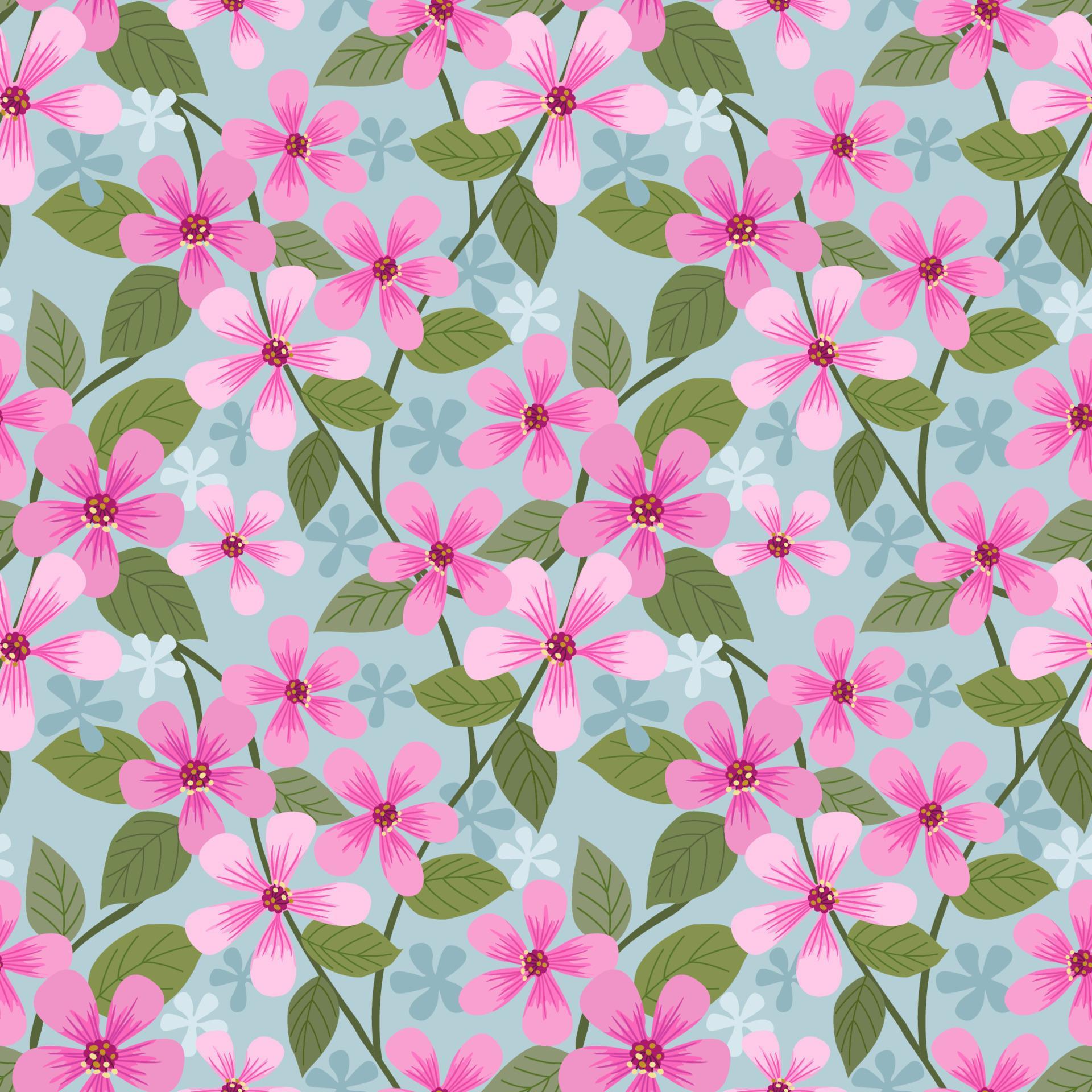 Pink blooming flowers on blue color background. Stock Free