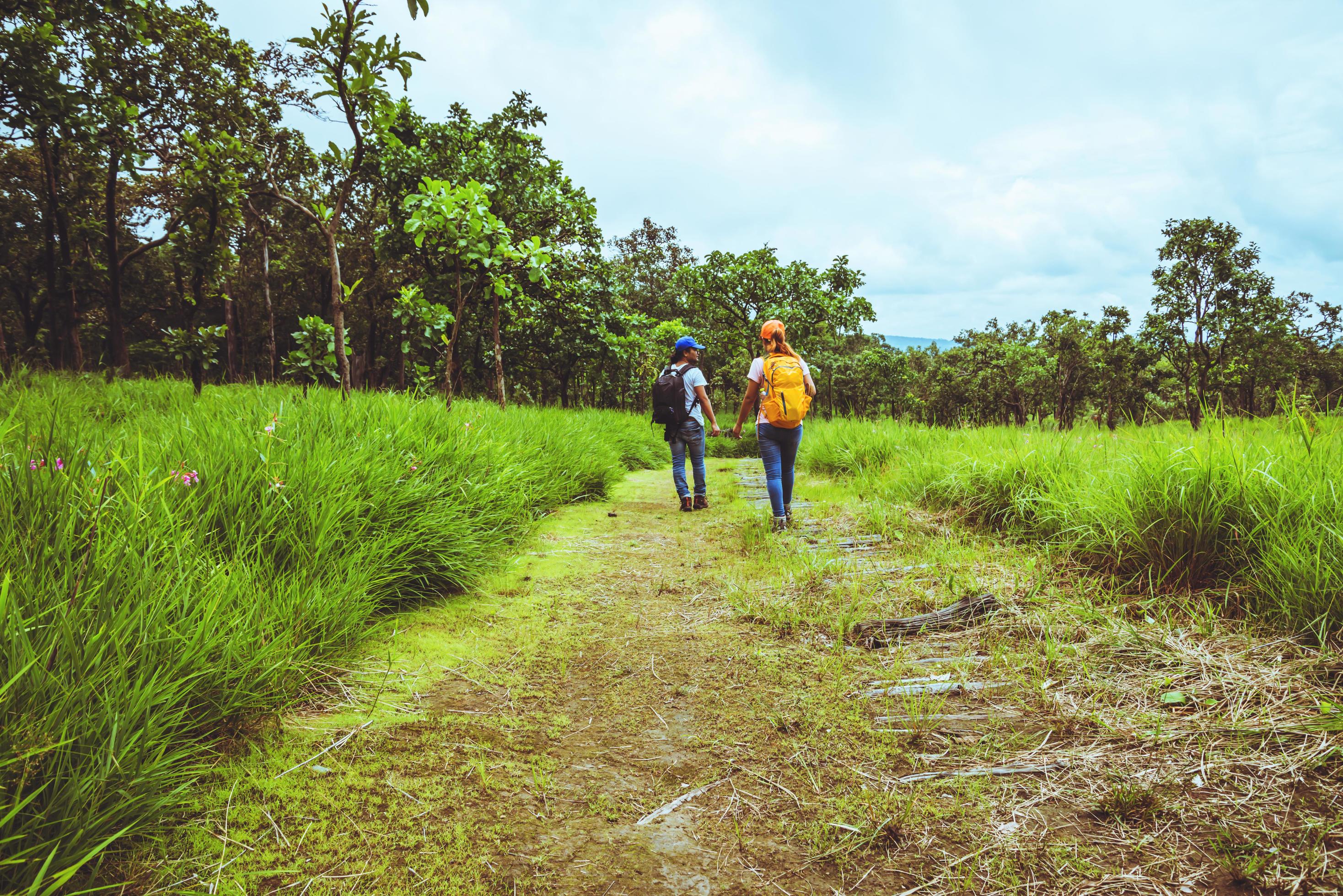 Lover woman and men Asian travel nature. Travel relax. Walk study the path Nature in the forest Stock Free