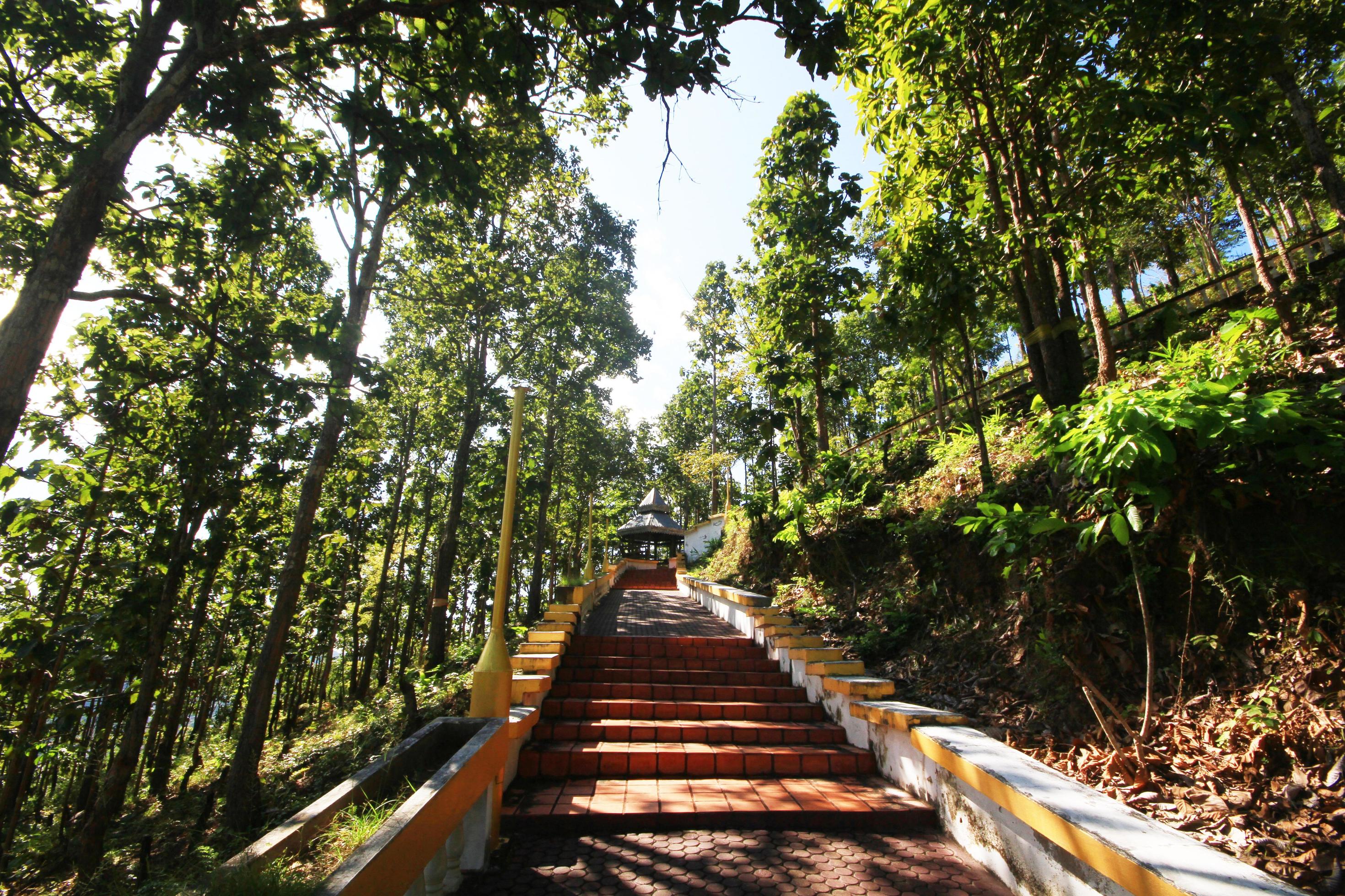 Concrete stairs in the jungle and forest heading to the temple on the hilltop at in Phra That Doi Kong Mu Temple at Meahongson Province Thailand Stock Free