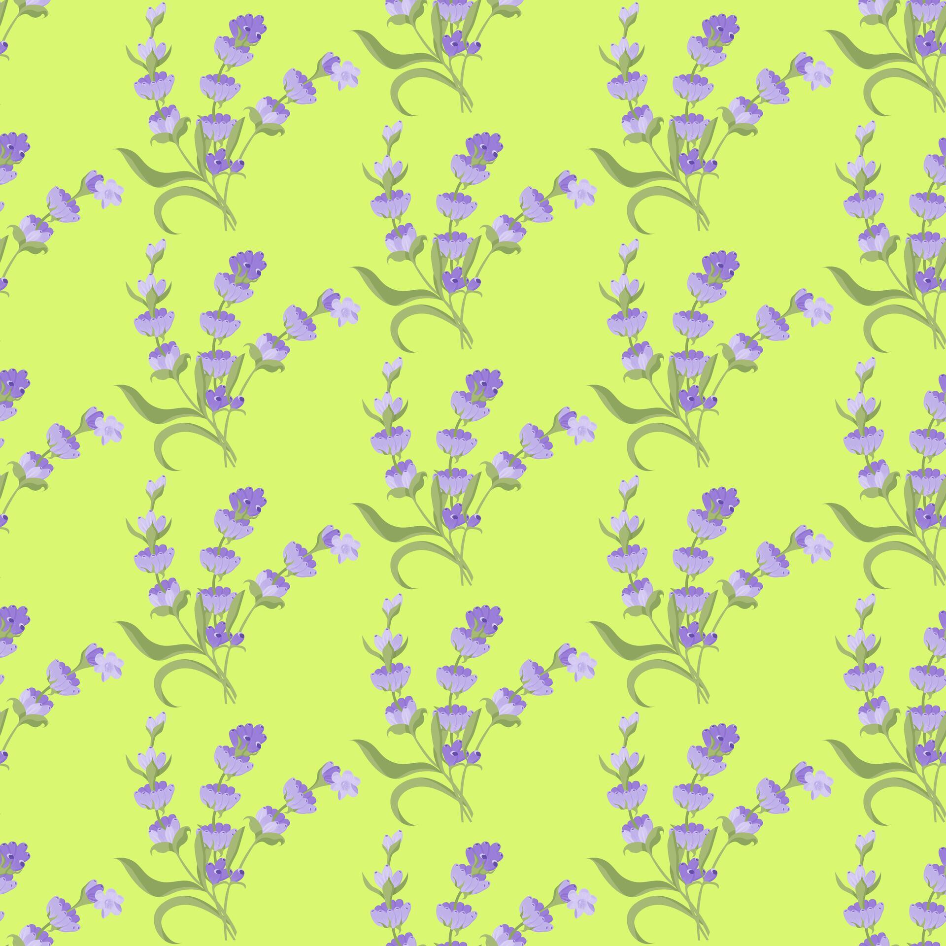 A sprig of lavender. Purple flower. Seamless pattern. illustration. Stock Free